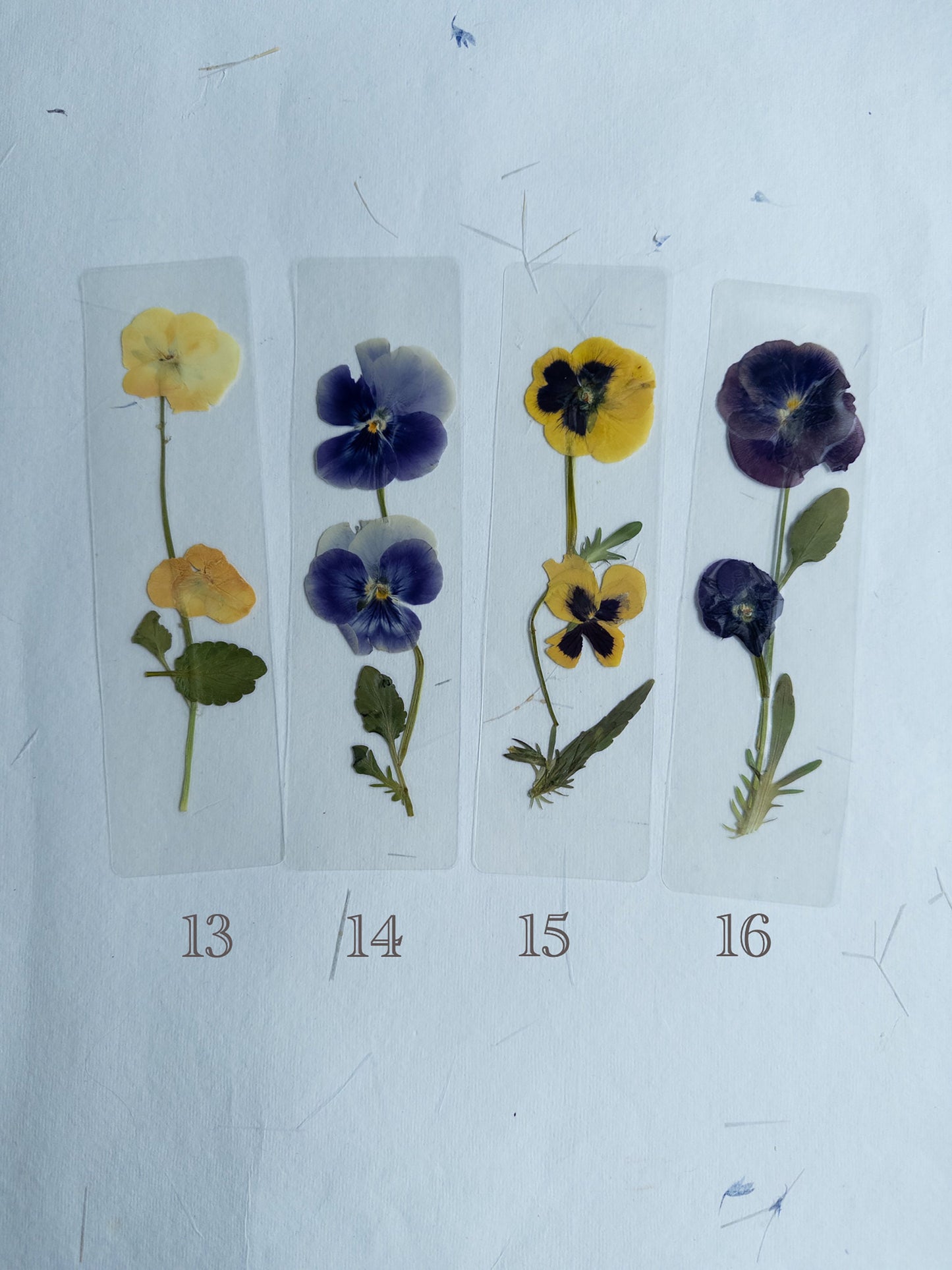 Pansy flower bookmark,Pressed flower bookmark Transparent, violet bookmark handmade bookmark, gift, dried flower, fleur séchée , marque page