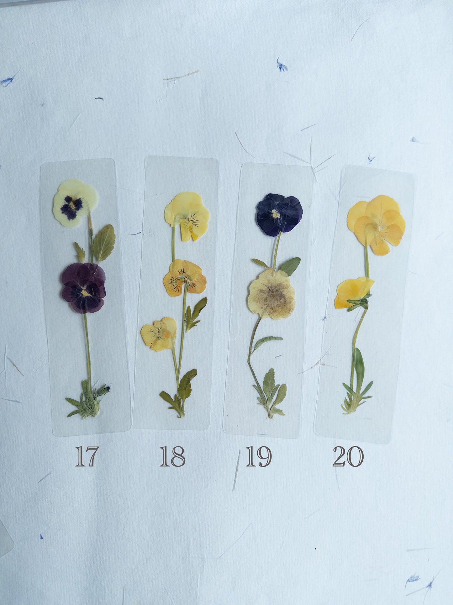 Pansy flower bookmark,Pressed flower bookmark Transparent, violet bookmark handmade bookmark, gift, dried flower, fleur séchée , marque page