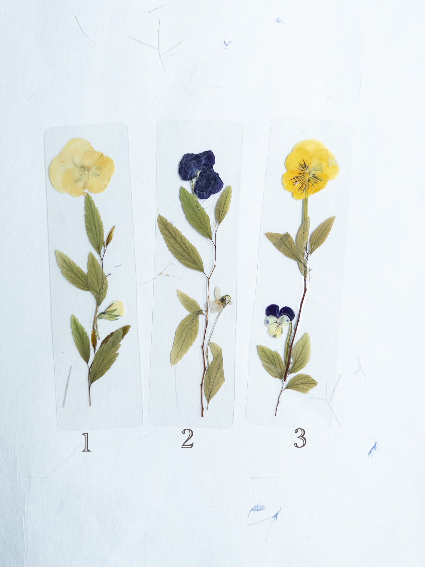 Pansy flower bookmark Pressed flower bookmark Transparent, violet bookmark handmade bookmark, gift, dried flower, fleur séchée , marque page