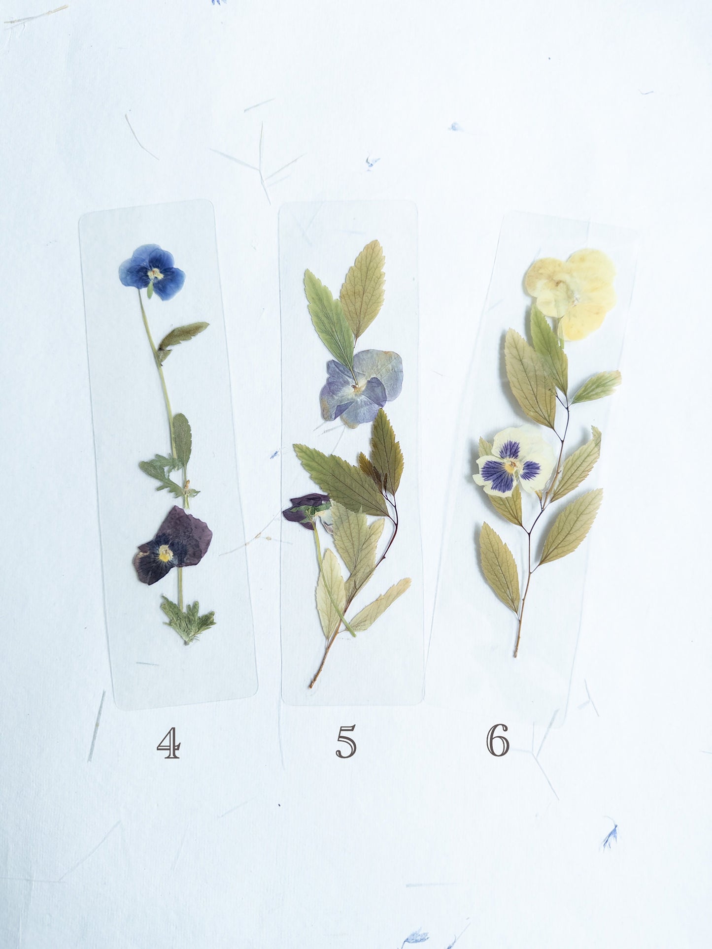 Pansy flower bookmark Pressed flower bookmark Transparent, violet bookmark handmade bookmark, gift, dried flower, fleur séchée , marque page