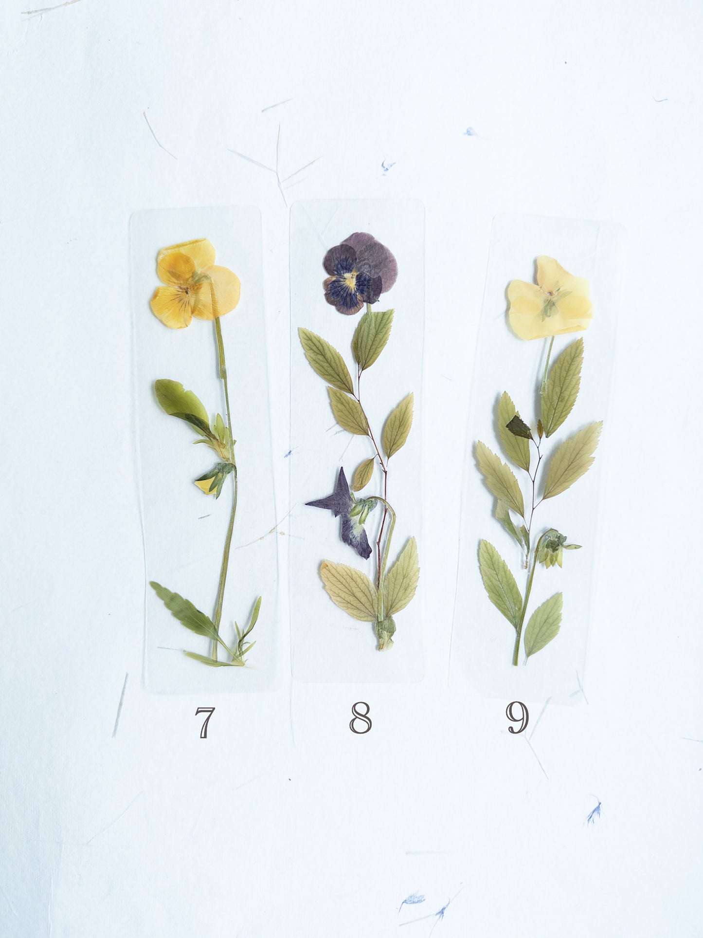 Pansy flower bookmark Pressed flower bookmark Transparent, violet bookmark handmade bookmark, gift, dried flower, fleur séchée , marque page