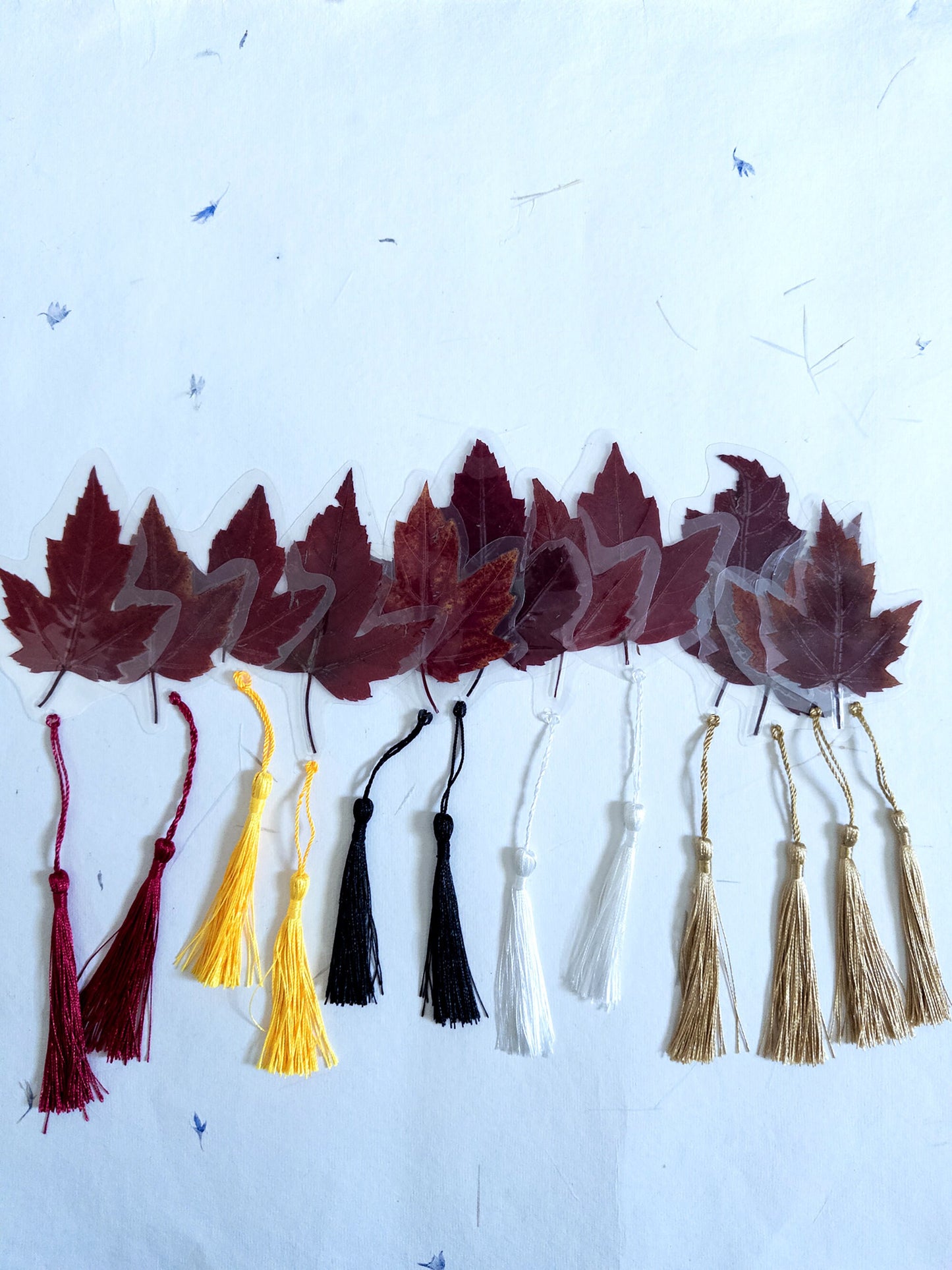 Pressed flower bookmark maple leaf with Tassel , transparent bookmark, handmade bookmark, gift, dried flower, fleur séchée , marque page