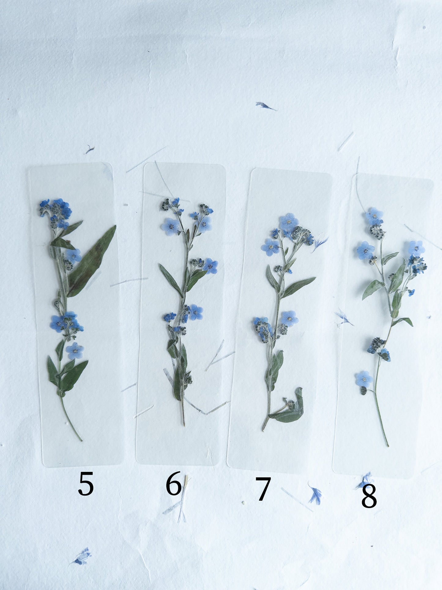 Transparent Pressed flower bookmark on cotton paper,Myosotis, forget-me not, mixed flowers, flower, fleur séchée , marque page,