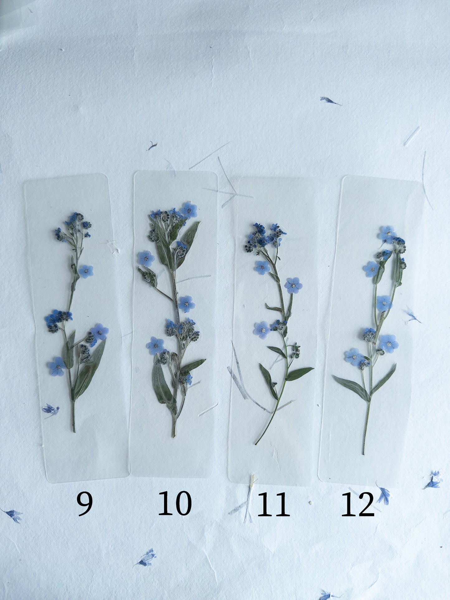 Transparent Pressed flower bookmark on cotton paper,Myosotis, forget-me not, mixed flowers, flower, fleur séchée , marque page,