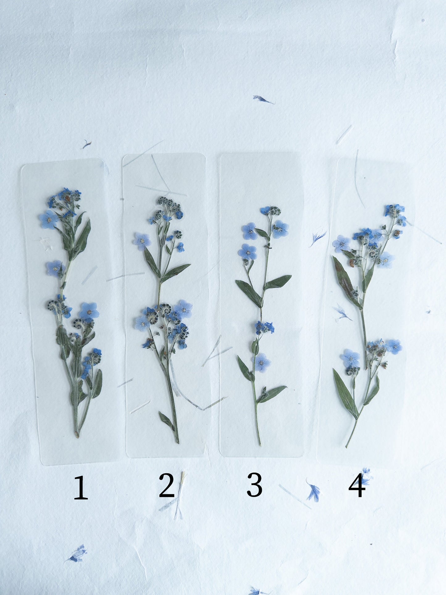 Transparent Pressed flower bookmark on cotton paper,Myosotis, forget-me not, mixed flowers, flower, fleur séchée , marque page,