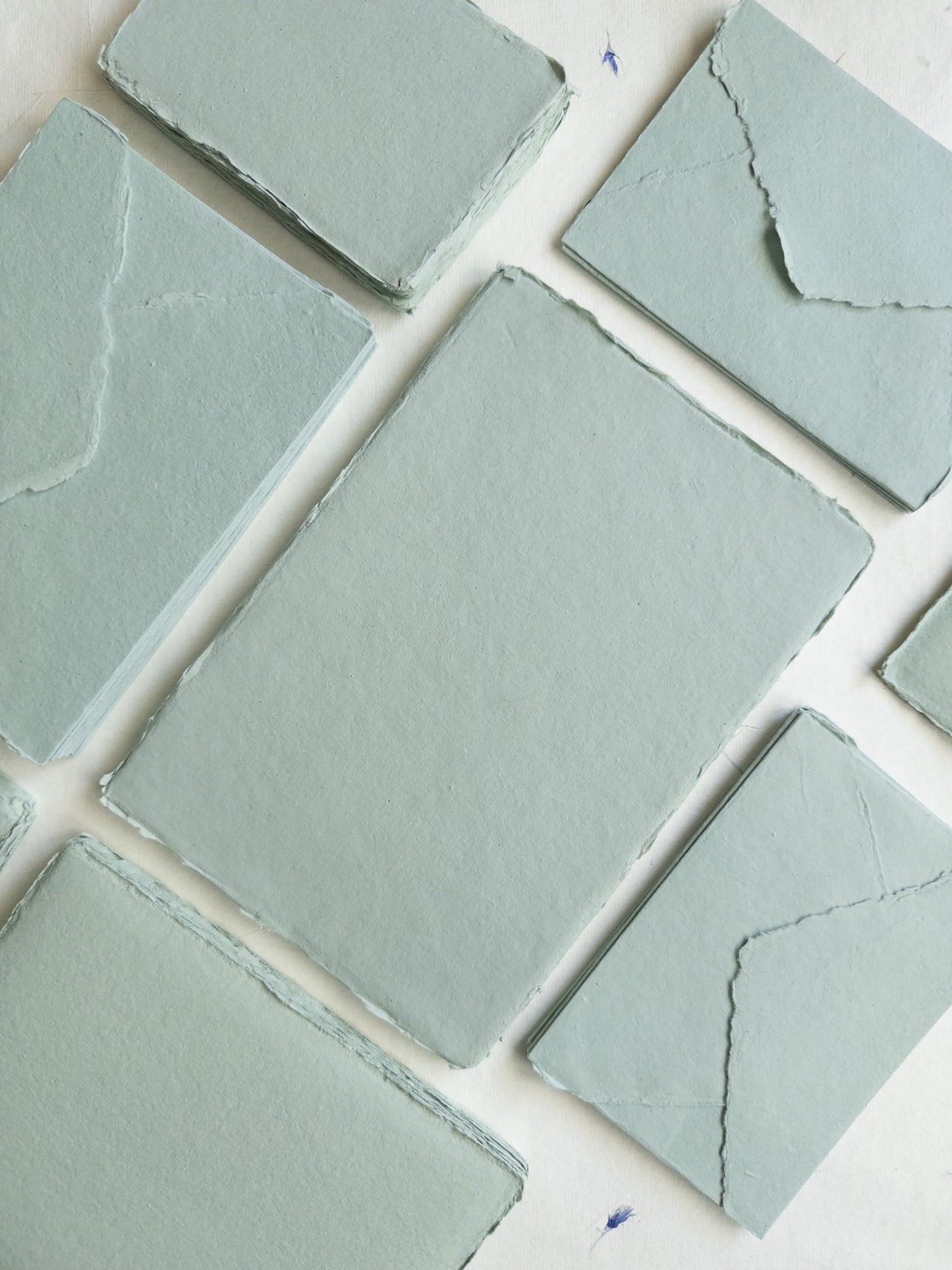Succulent deckle edge paper