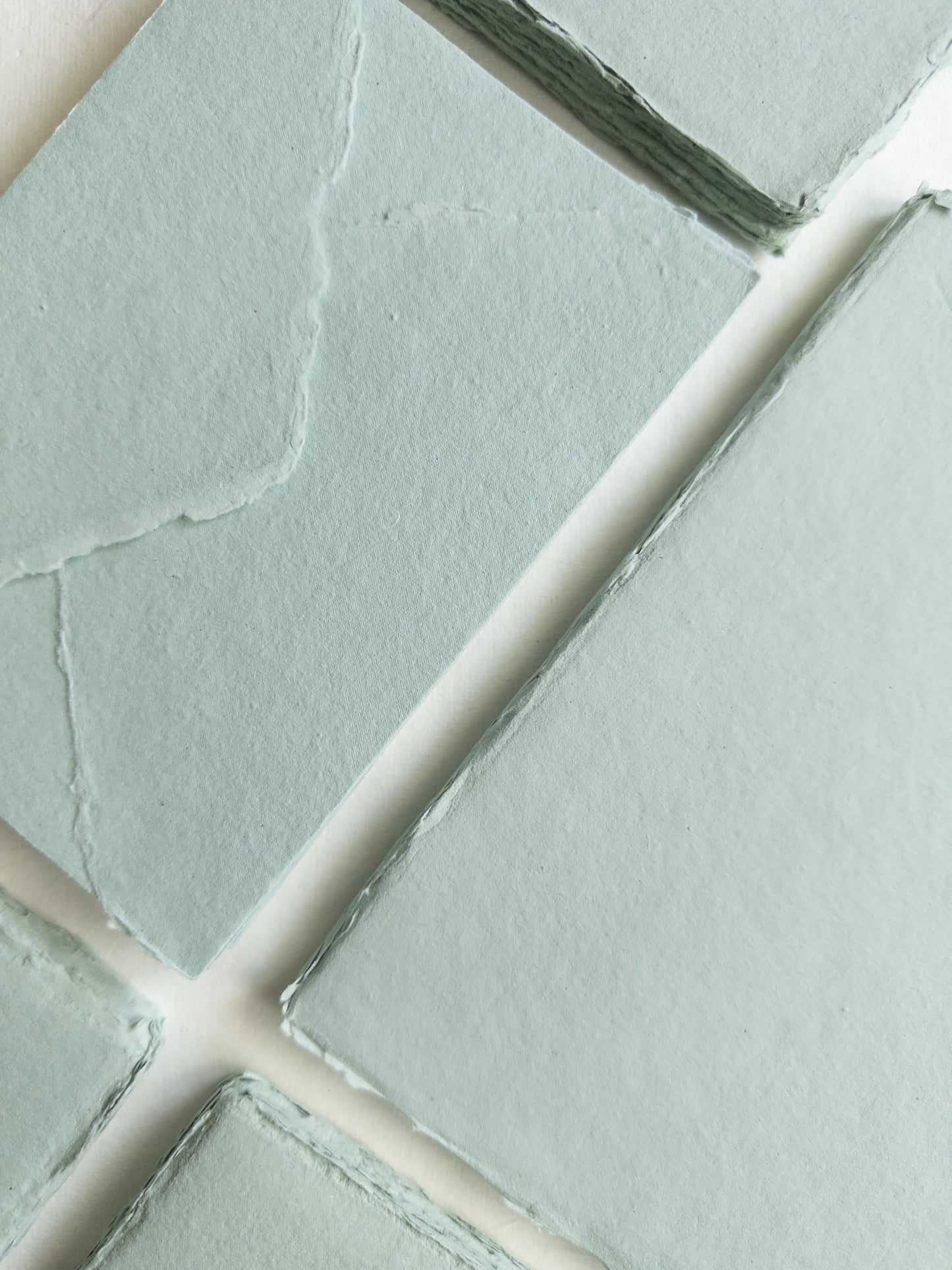 Succulent deckle edge paper