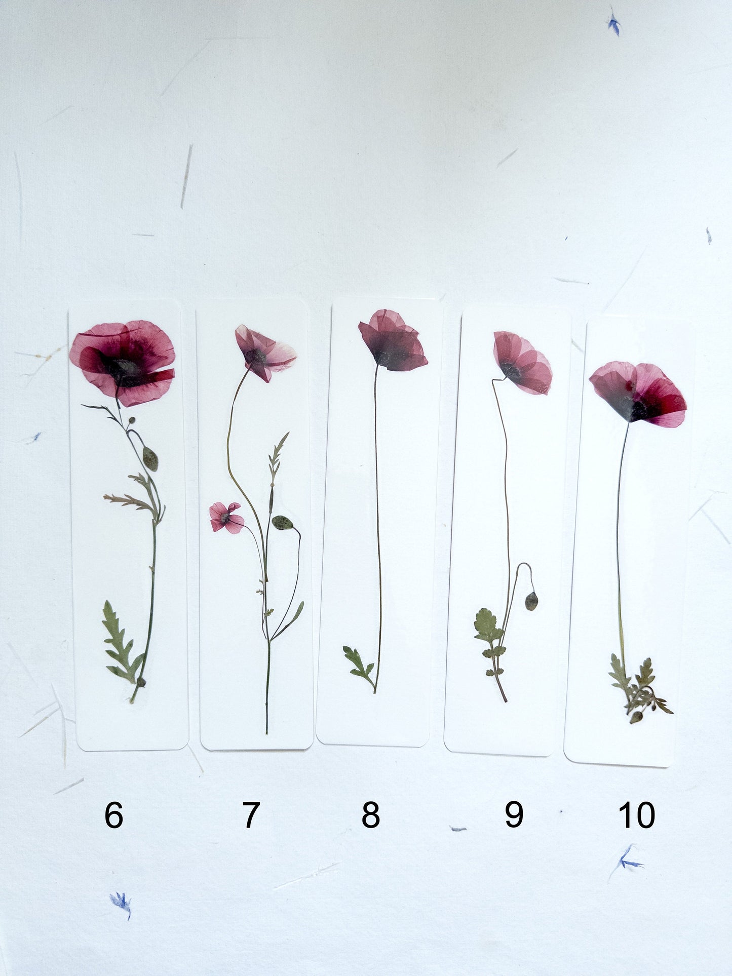 Common poppy bookmark