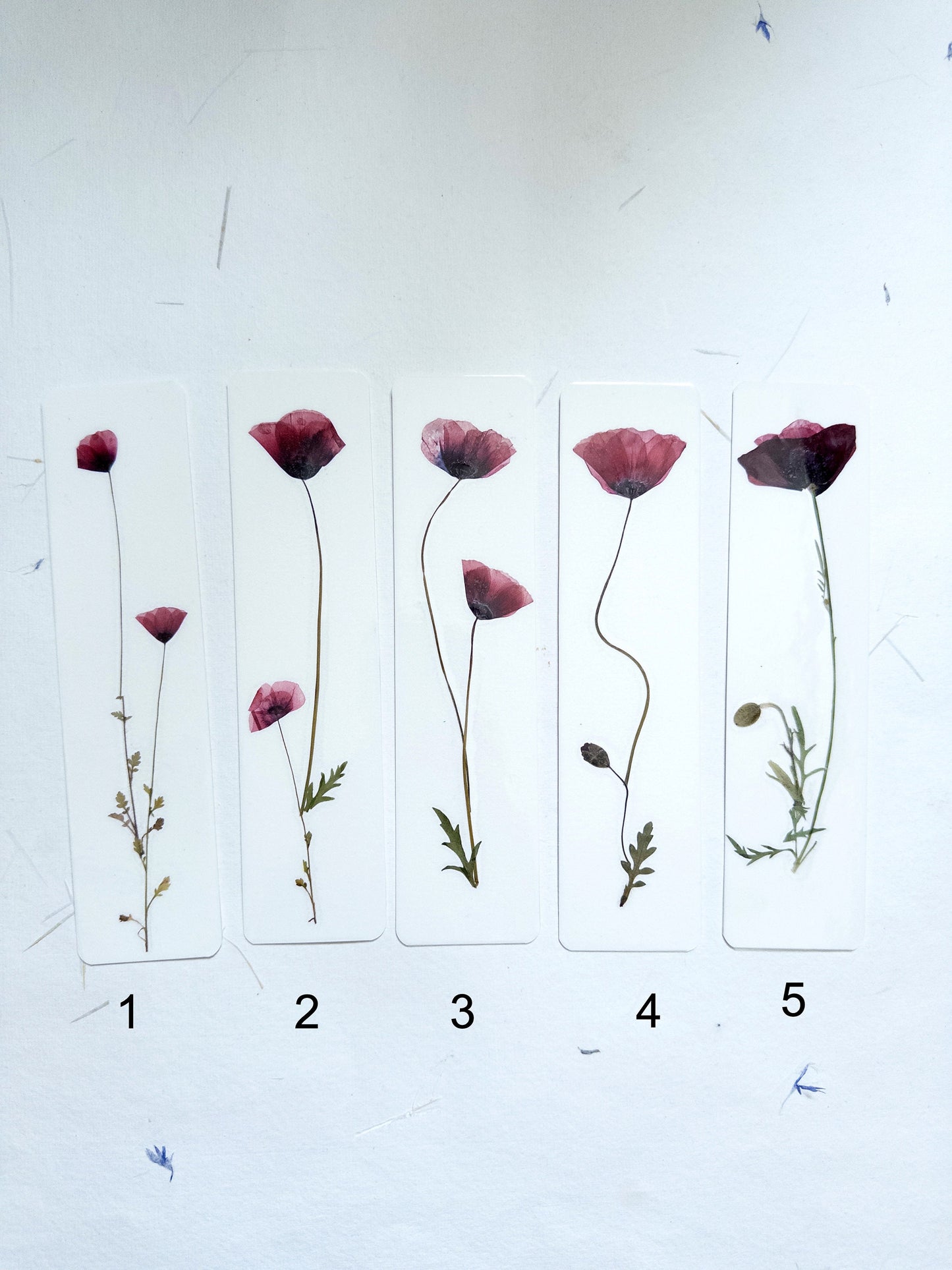 Common poppy bookmark