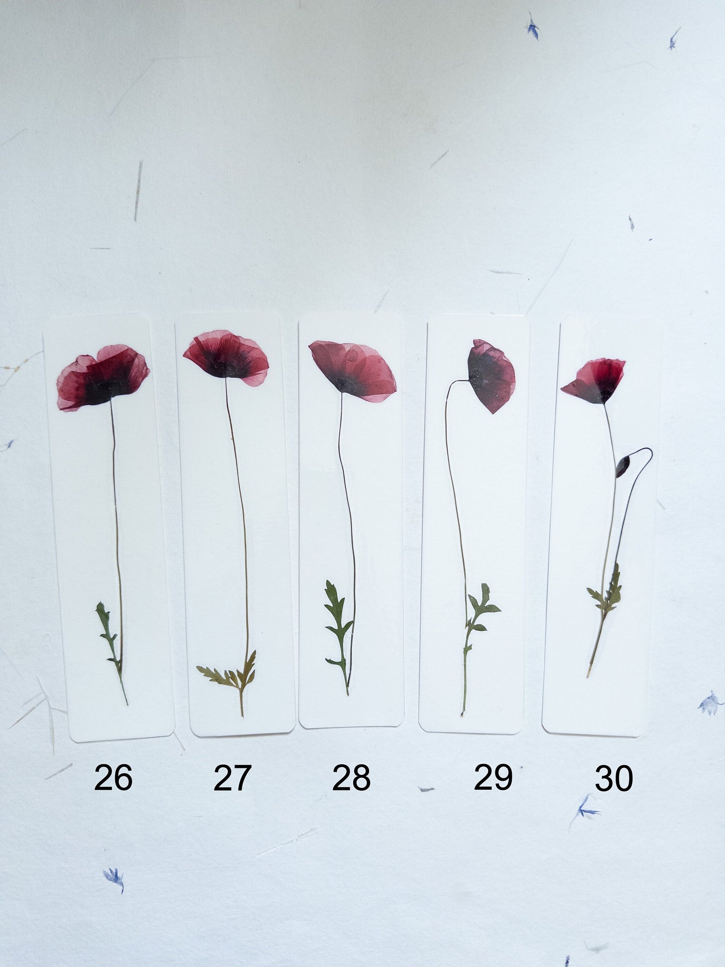 Common poppy bookmark