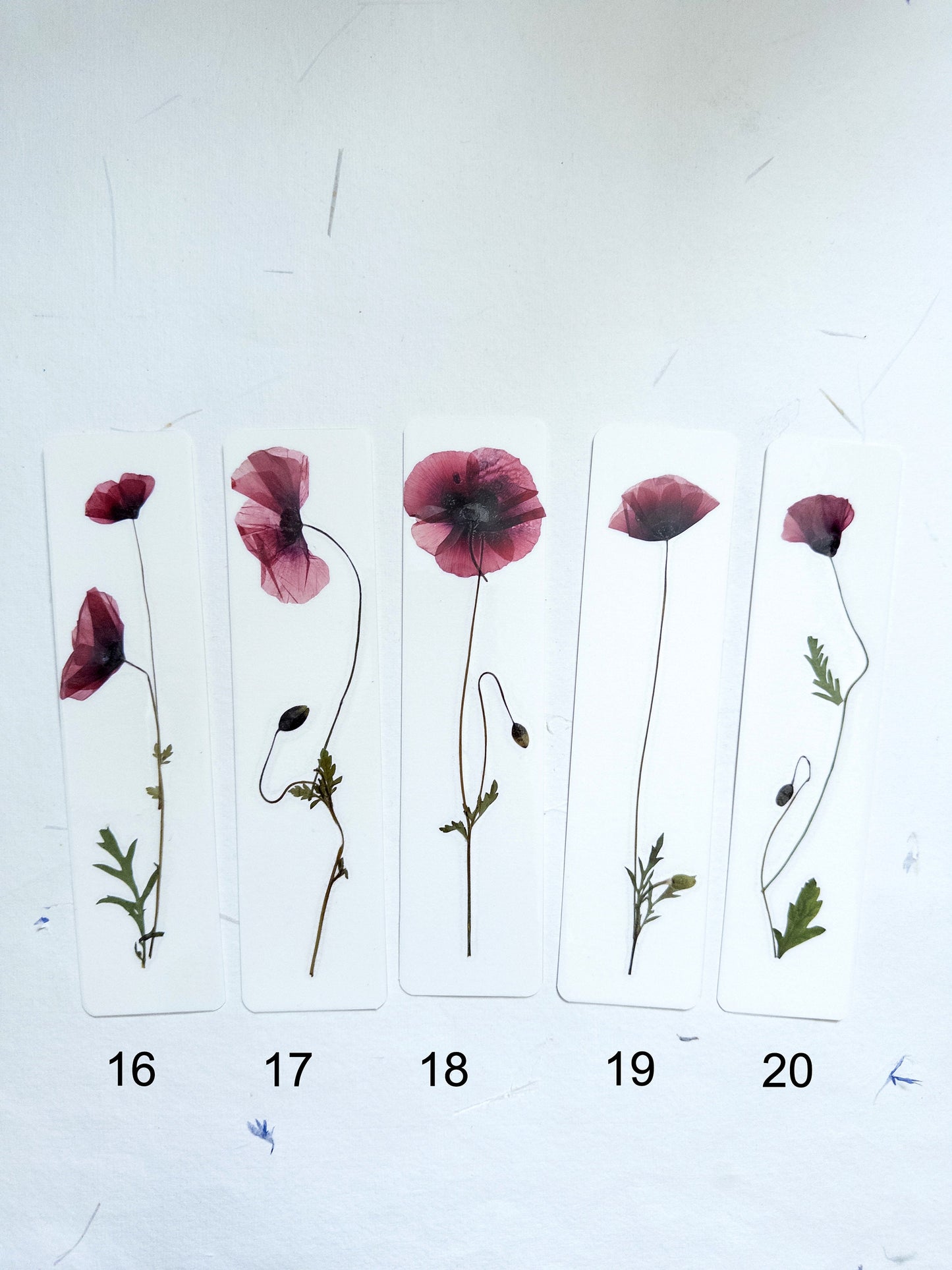 Common poppy bookmark