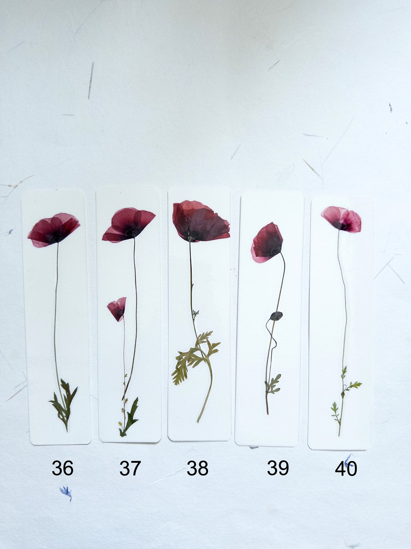 Common poppy bookmark