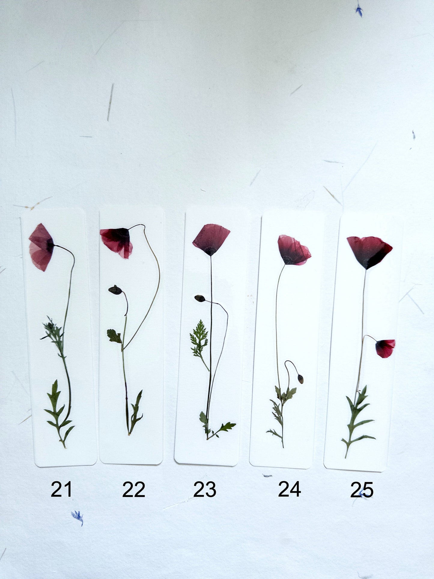 Common poppy bookmark
