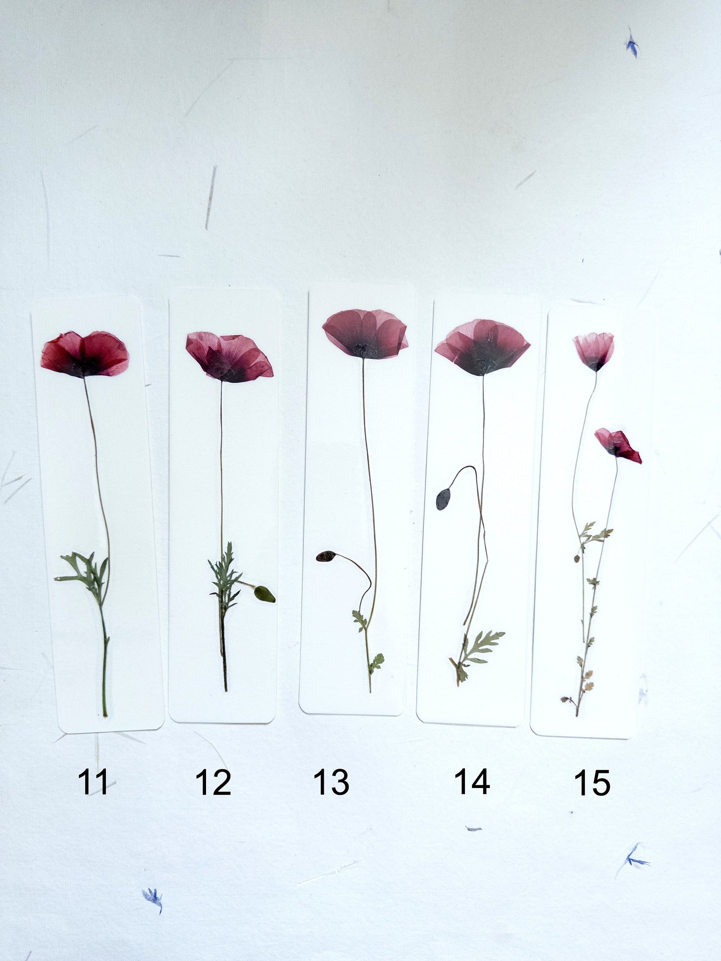 Common poppy bookmark