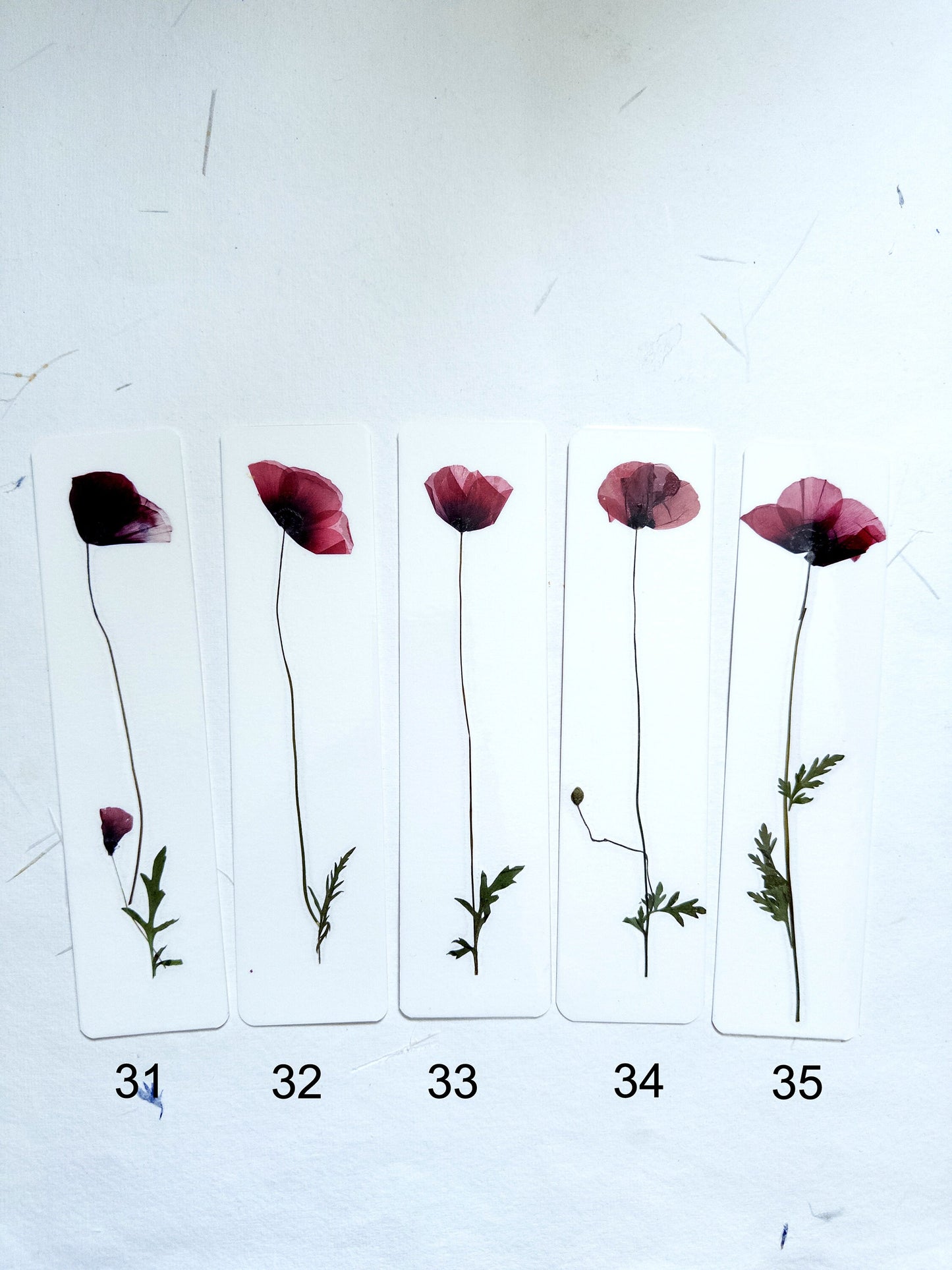 Common poppy bookmark