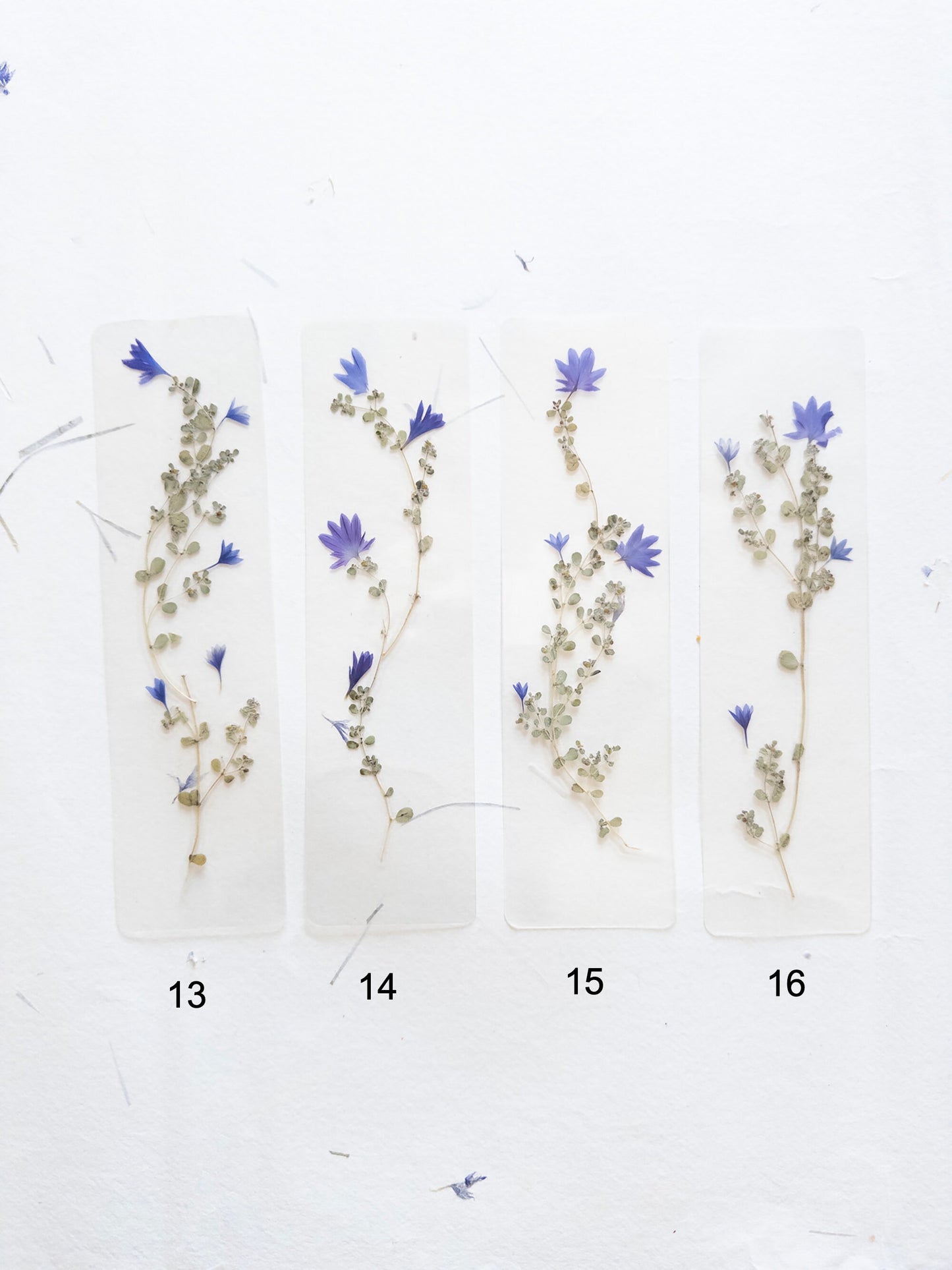 Pressed flower bookmark on handmade cotton paper, cornflower , handmade bookmark, gift, dried flower, fleur séchée , marque page Le Bleuet