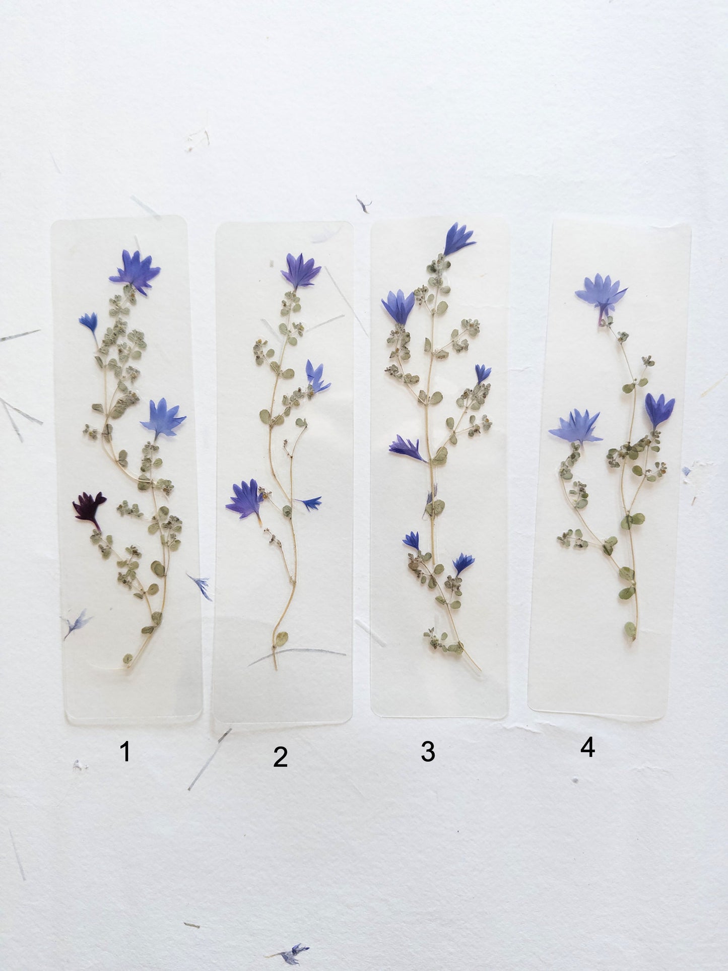 Pressed flower bookmark on handmade cotton paper, cornflower , handmade bookmark, gift, dried flower, fleur séchée , marque page Le Bleuet