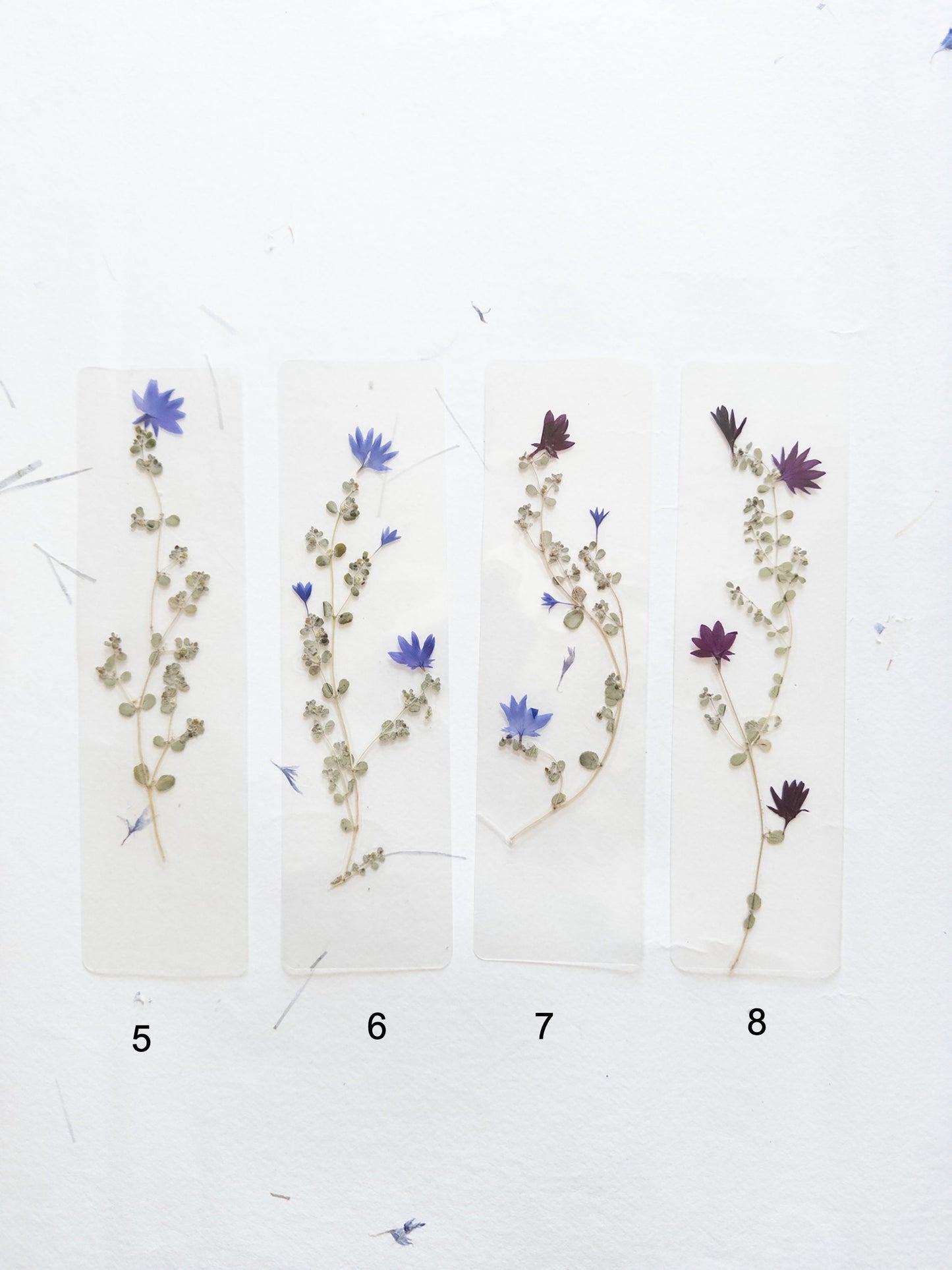 Pressed flower bookmark on handmade cotton paper, cornflower , handmade bookmark, gift, dried flower, fleur séchée , marque page Le Bleuet