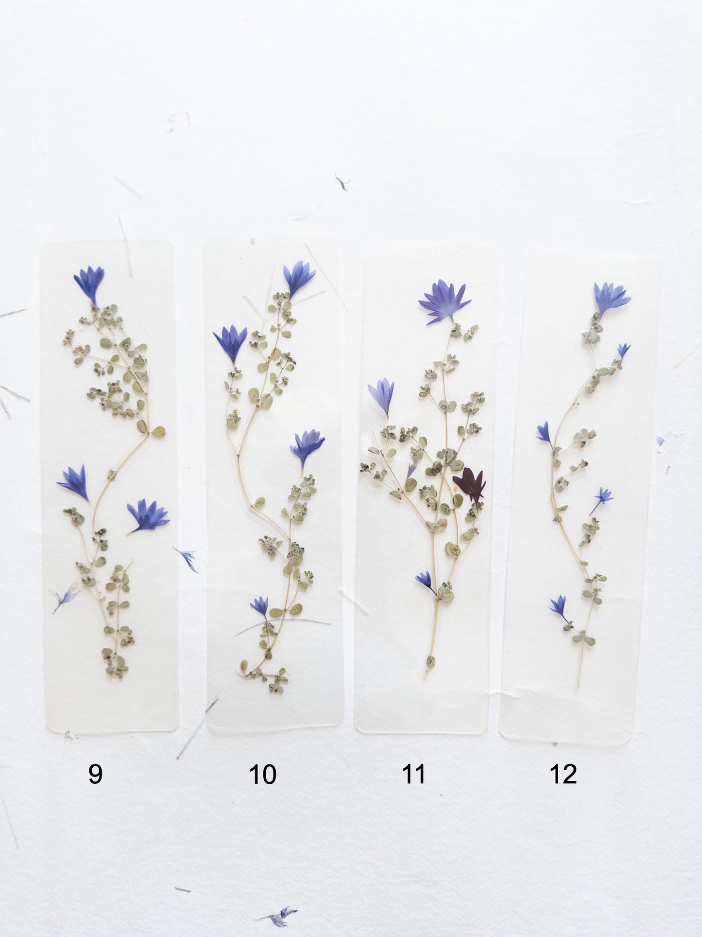 Pressed flower bookmark on handmade cotton paper, cornflower , handmade bookmark, gift, dried flower, fleur séchée , marque page Le Bleuet
