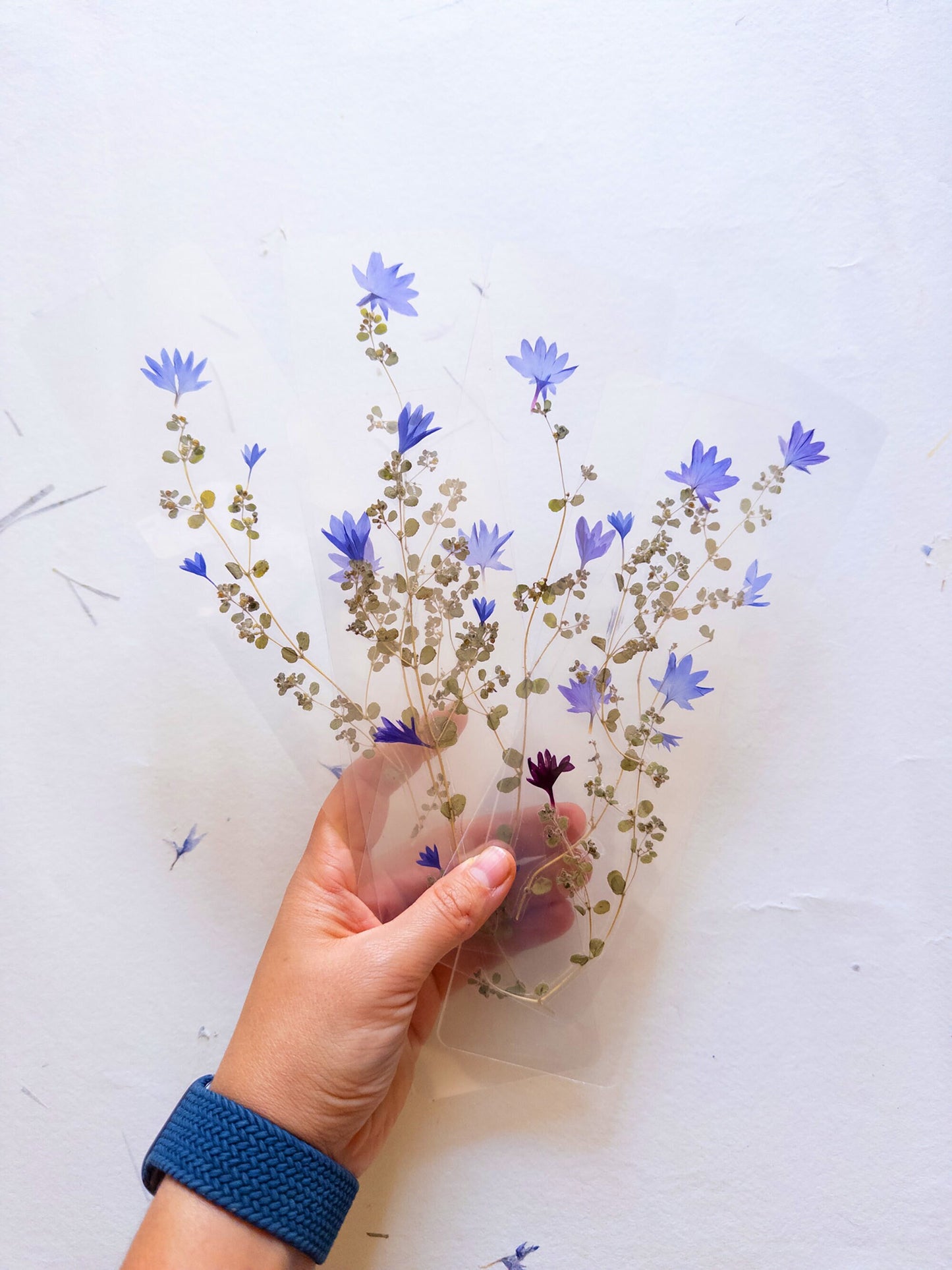 Pressed flower bookmark on handmade cotton paper, cornflower , handmade bookmark, gift, dried flower, fleur séchée , marque page Le Bleuet