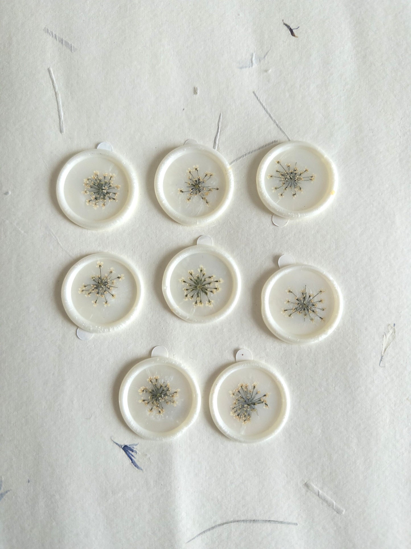 Queen Ann's Lace Wax seal
