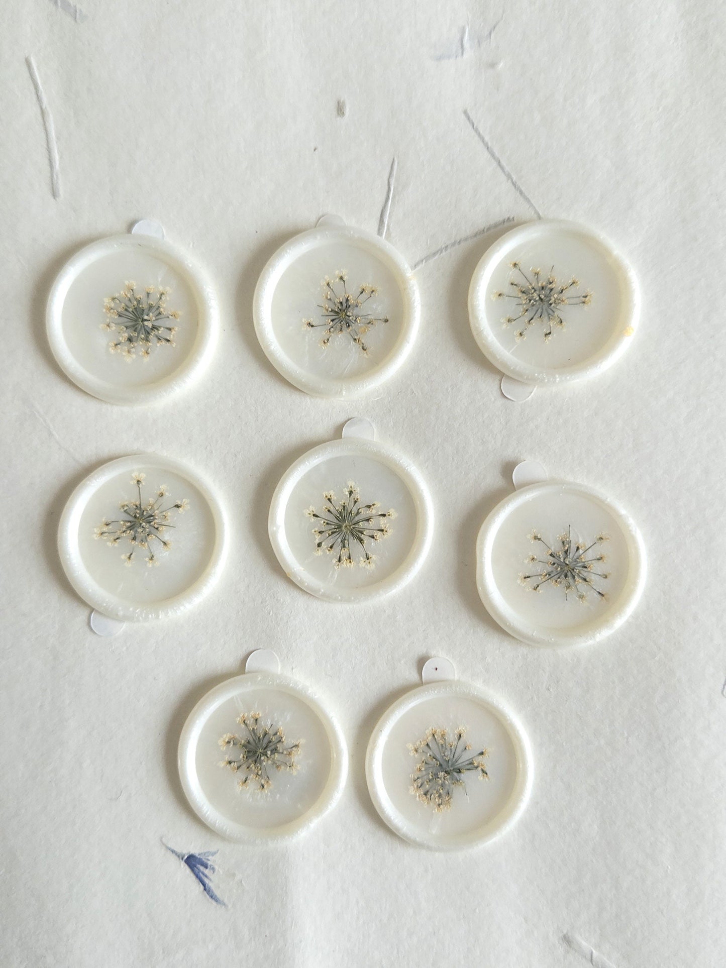 Queen Ann's Lace "" Pressed flower Seals, Self Adhesive Wax Seals, wedding DIY, flower Wax Seals, Wax Seals, Wedding Wax Seal Stickers