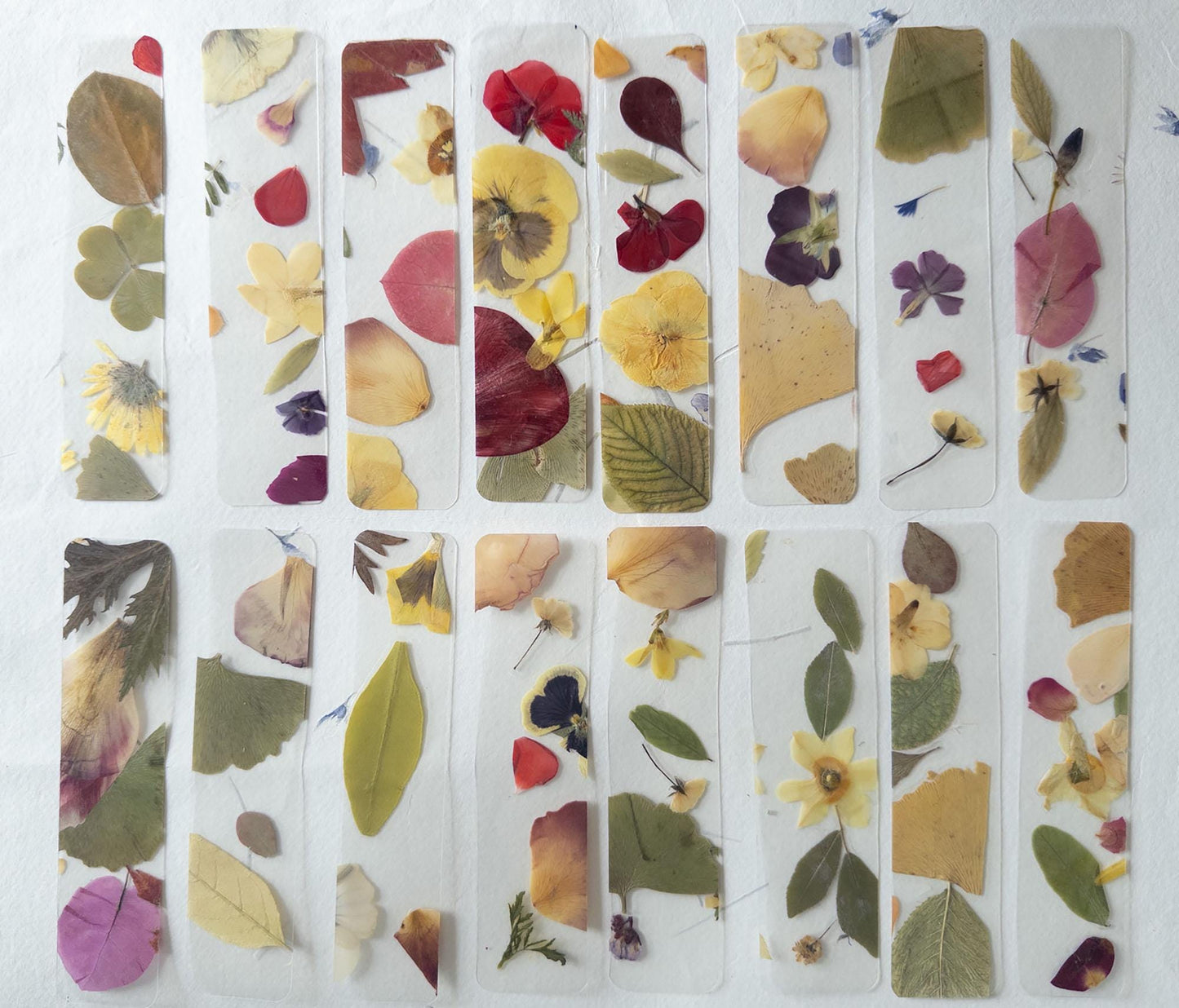 Set of assorted transparent bookmarks, each adorned with a variety of pressed flowers - perfect for adding a touch of nature to your reading experience.