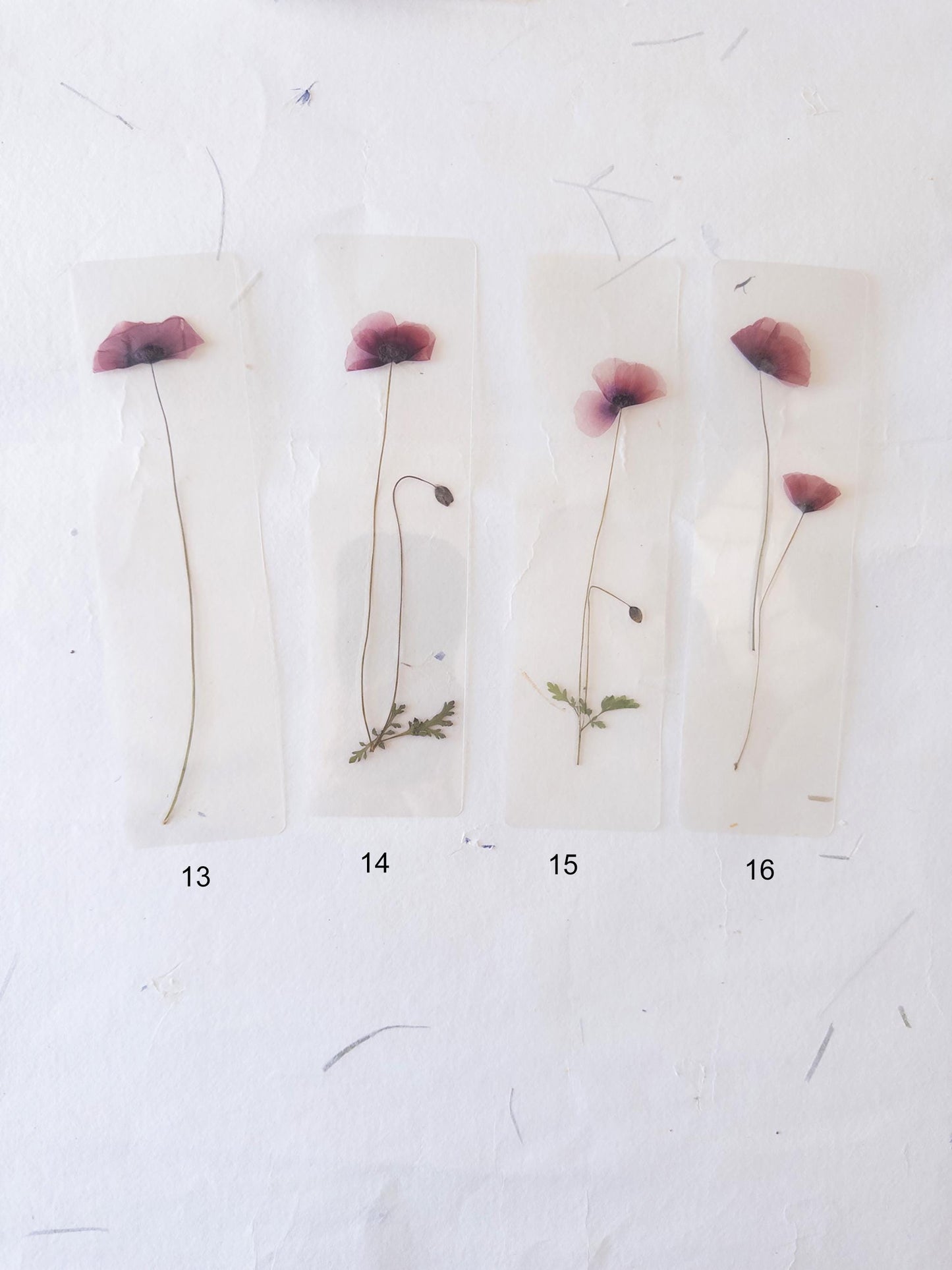 Pressed Flower bookmark TRANSPARENT , dried flower , gift, fleur, fleur séchée, marque page poppy coquelicot