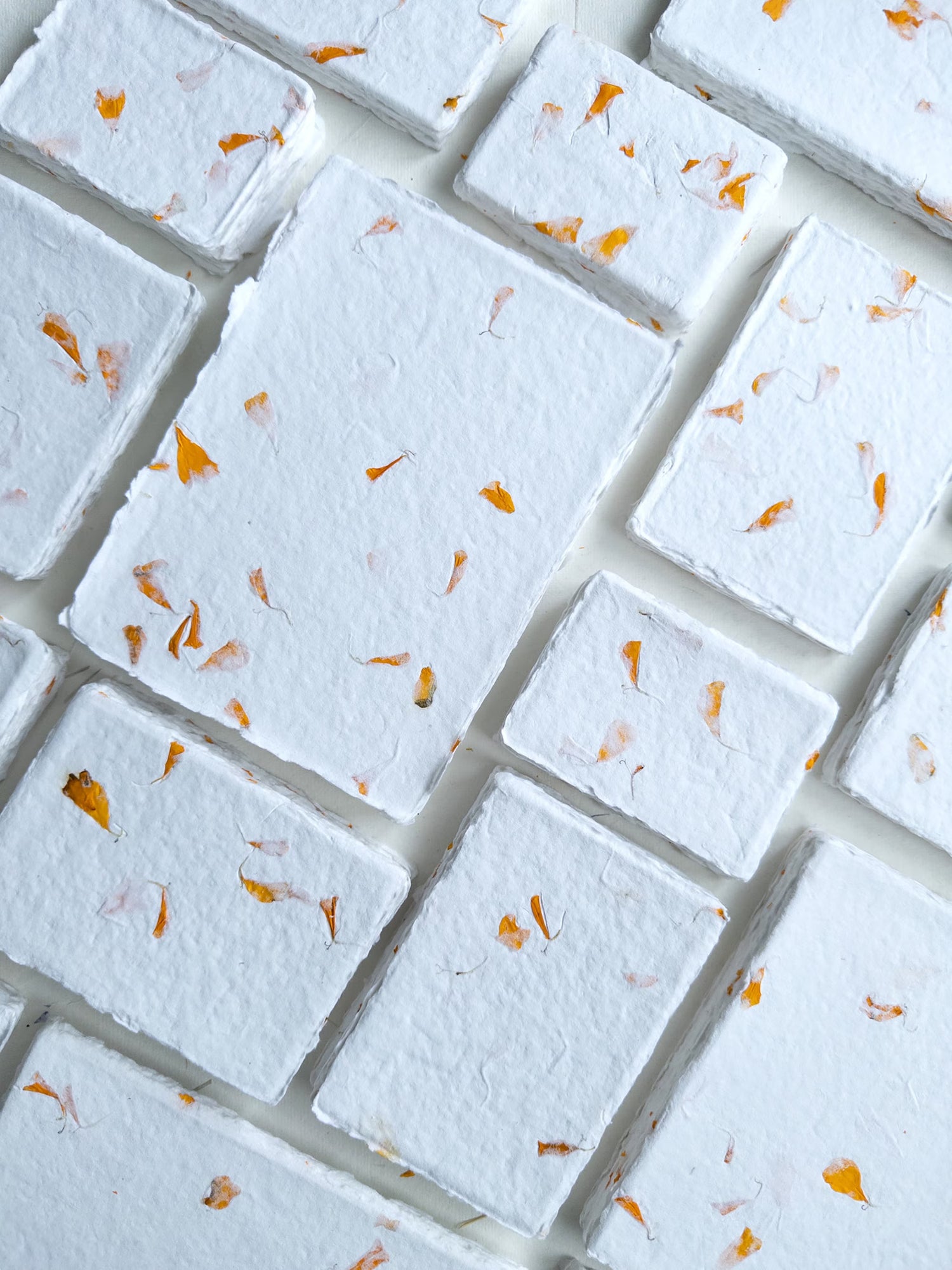 Deckle edge paper with flowers