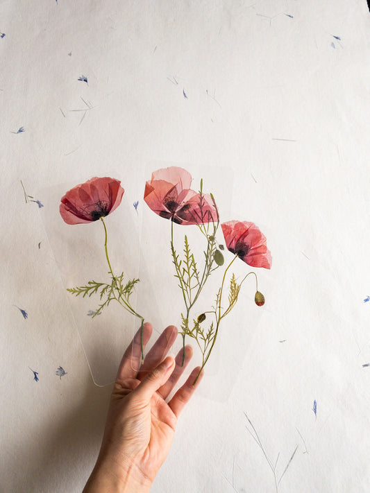 Pressed Flower bookmark TRANSPARENT , dried flower , gift, fleur, fleur séchée, marque page