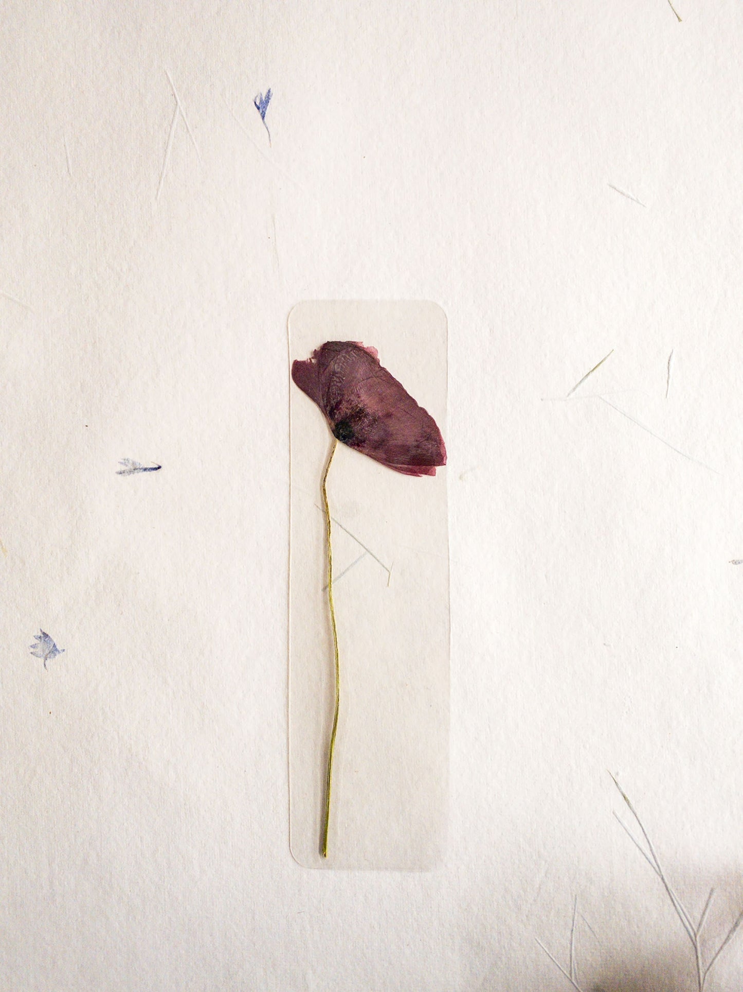 Pressed Flower bookmark TRANSPARENT , dried flower , gift, fleur, fleur séchée, marque page
