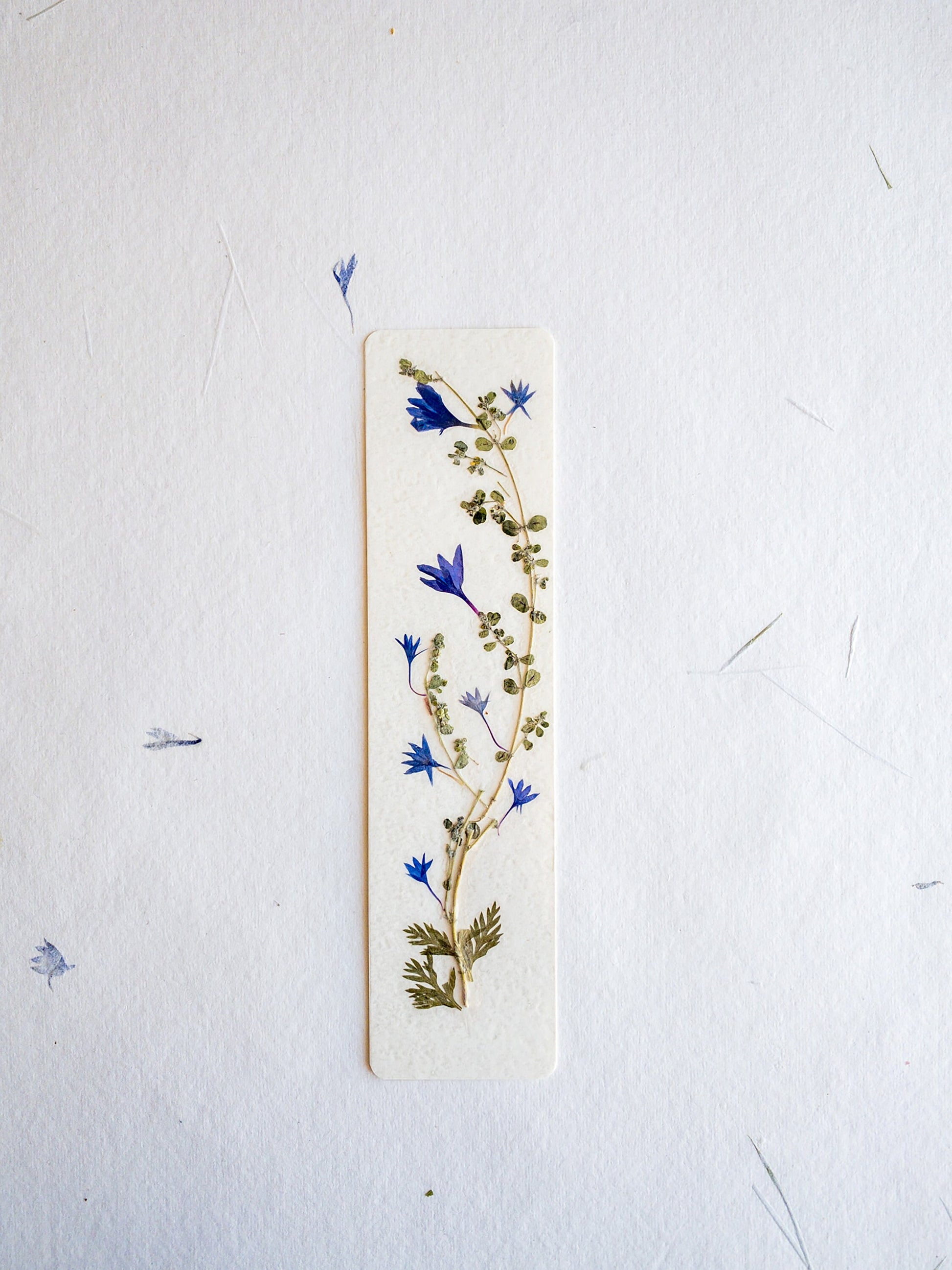 Pressed flower bookmark on handmade cotton paper, cornflower , handmade bookmark, gift, dried flower, fleur séchée , marque page Le Bleuet