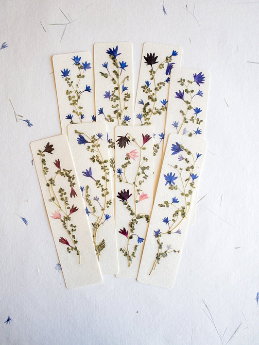 Pressed flower bookmark on handmade cotton paper, cornflower , handmade bookmark, gift, dried flower, fleur séchée , marque page Le Bleuet
