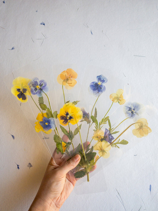 Pansy flower bookmark,Pressed flower bookmark Transparent, violet bookmark handmade bookmark, gift, dried flower, fleur séchée , marque page