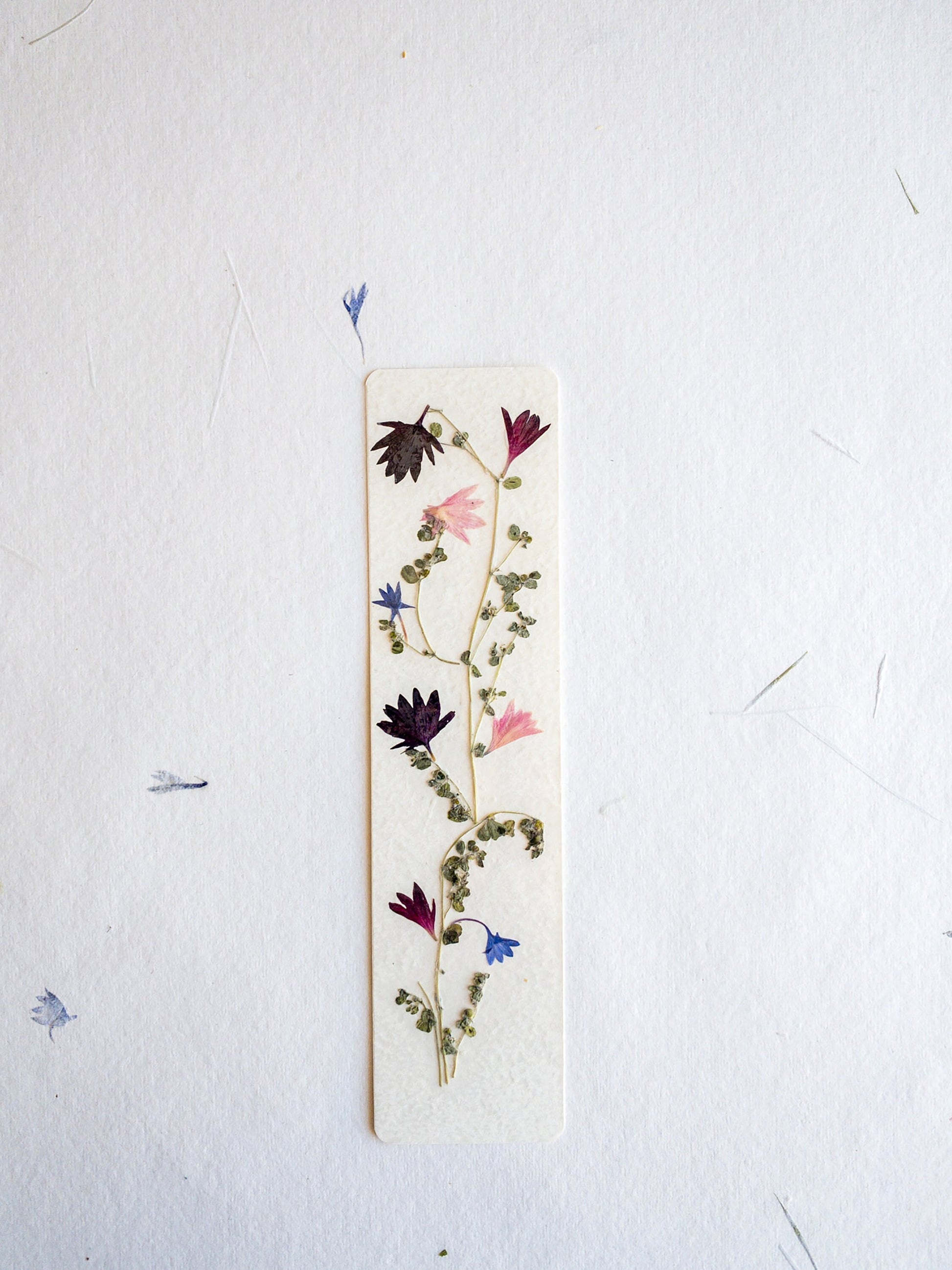 Pressed flower bookmark on handmade cotton paper, cornflower , handmade bookmark, gift, dried flower, fleur séchée , marque page Le Bleuet