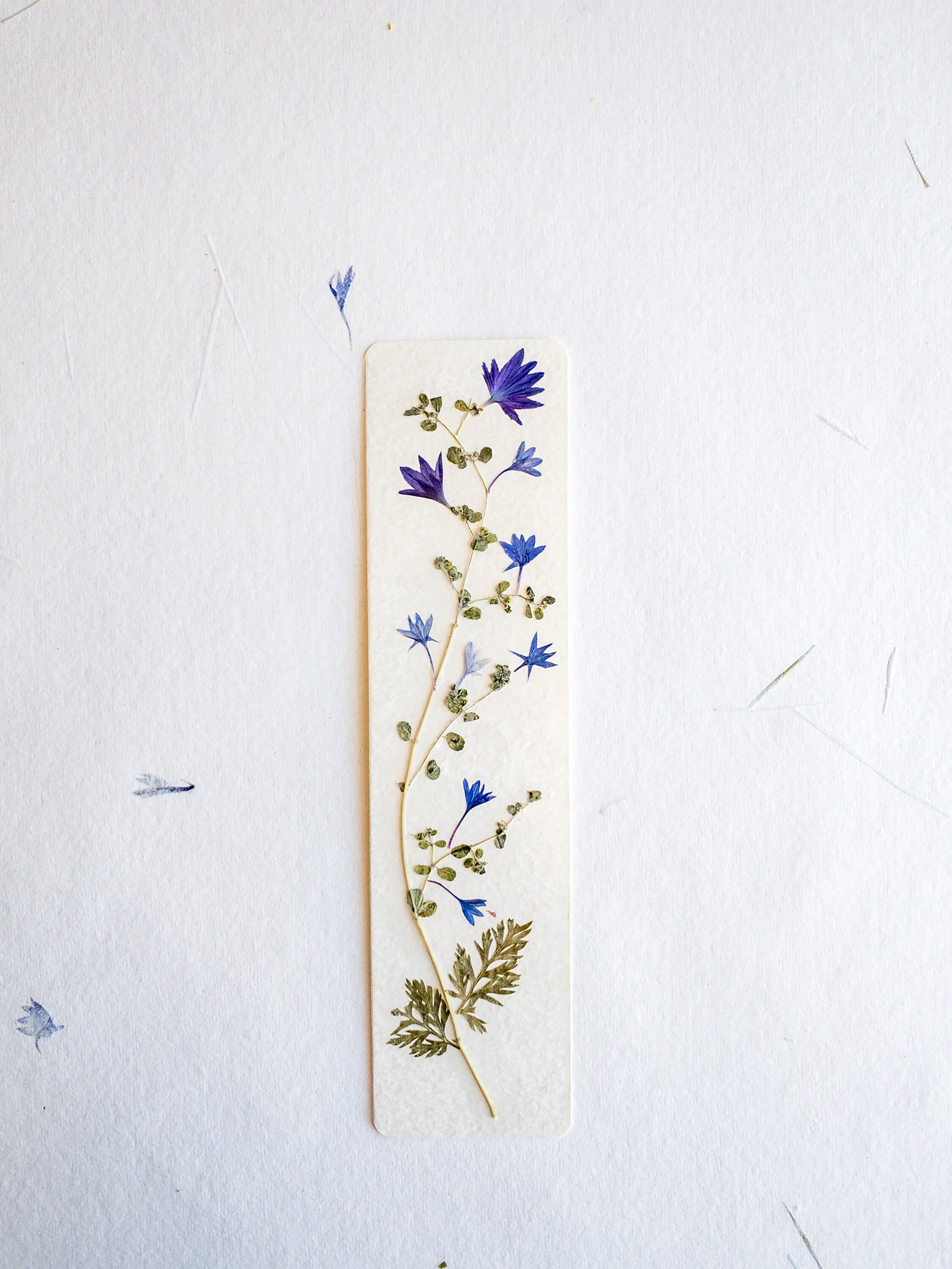 Pressed flower bookmark on handmade cotton paper, cornflower , handmade bookmark, gift, dried flower, fleur séchée , marque page Le Bleuet