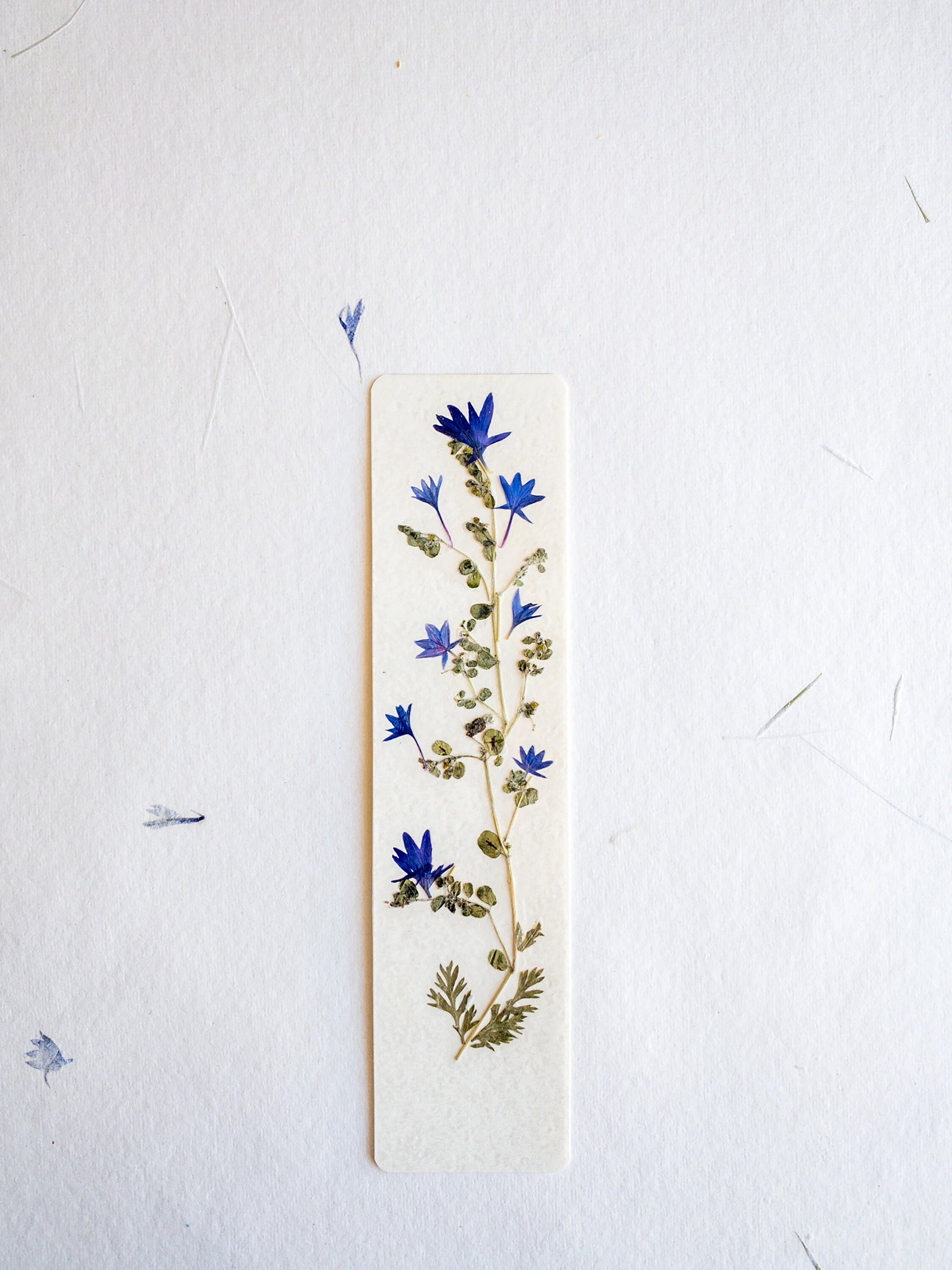 Pressed flower bookmark on handmade cotton paper, cornflower , handmade bookmark, gift, dried flower, fleur séchée , marque page Le Bleuet