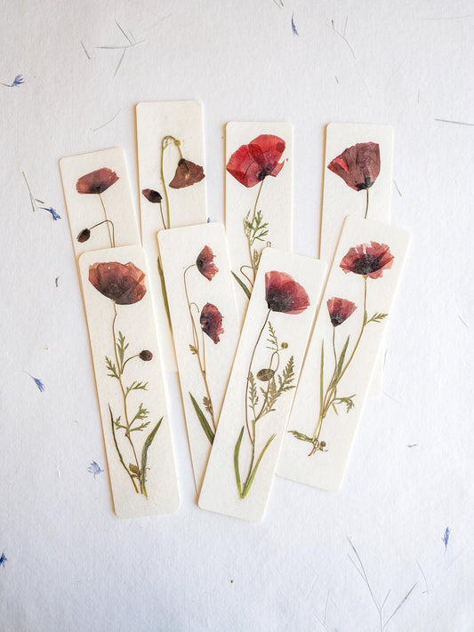 Pressed Flower bookmark corn poppy , dried flower , gift, fleur, fleur séchée, marque page coquelicots
