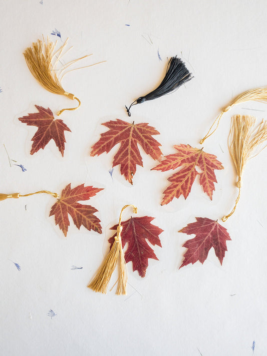 Pressed flower bookmark maple leaf with Tassel , transparent bookmark, handmade bookmark, gift, dried flower, fleur séchée , marque page
