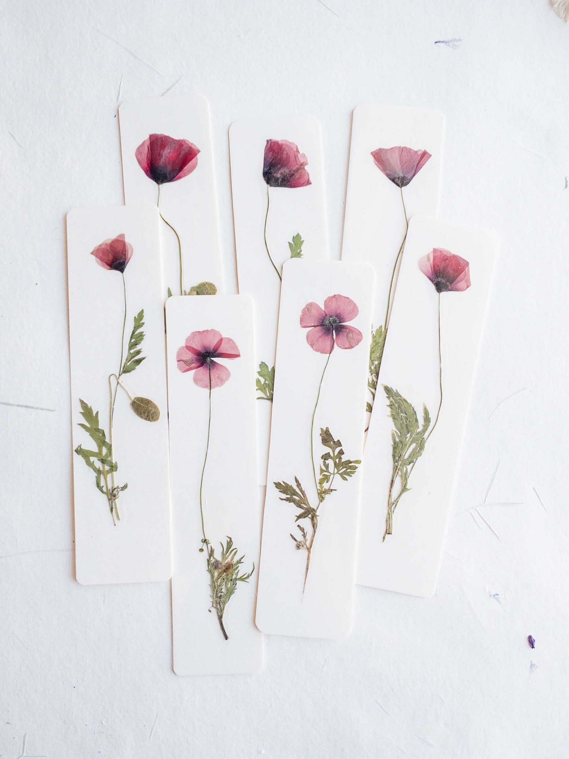 Common poppy bookmark