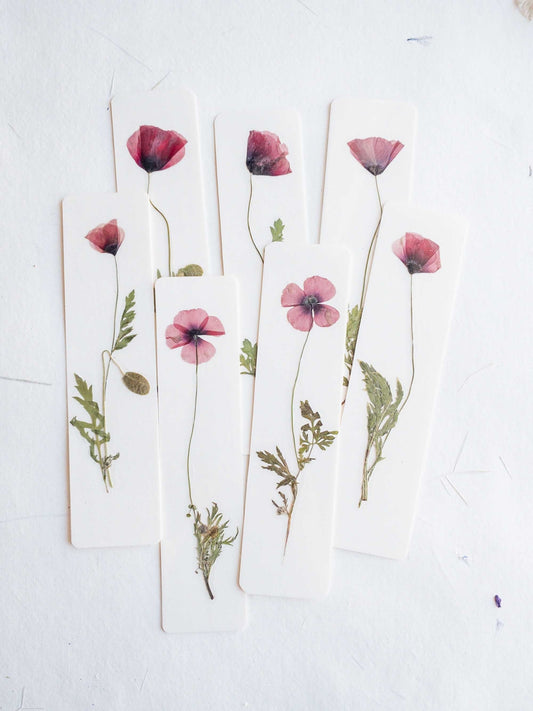 Common poppy bookmark Pressed Flower bookmark corn poppy , dried flower , gift, fleur, fleur séchée, marque page coquelicots