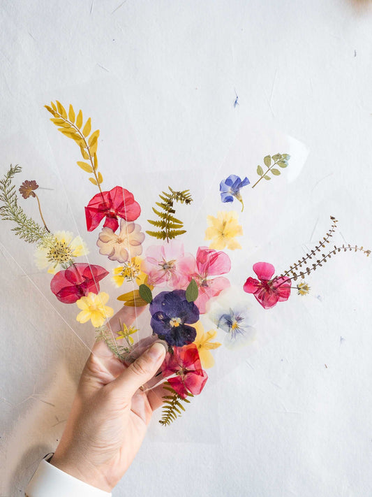Transparent pressed flower bookmark, mixed flowers, handmade bookmark, gift, dried flower, fleur séchée , marque page laminated bookmark