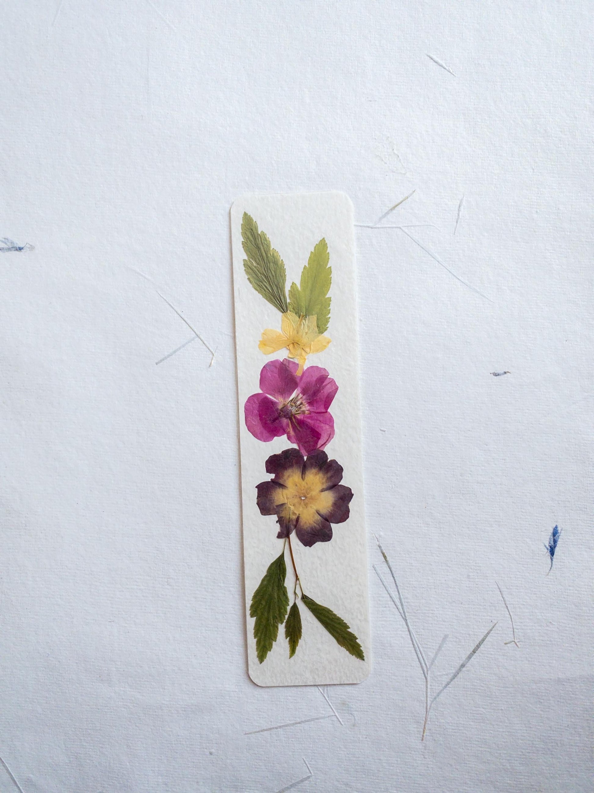 pressed flower bookmark, mixed flowers, handmade bookmark, gift, dried flower, fleur séchée , marque page