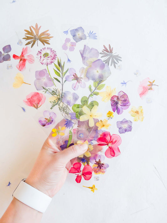 Transparent pressed flower bookmark, mixed flowers, handmade bookmark, gift, dried flower, fleur séchée , marque page laminated bookmark