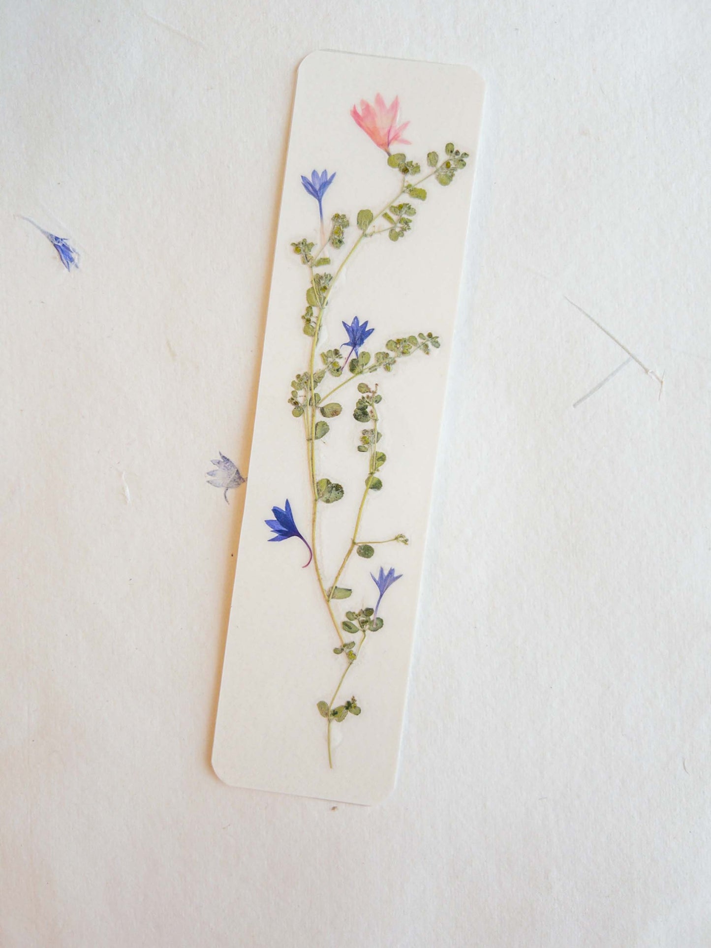 Pressed flower bookmark on handmade cotton paper, cornflower , handmade bookmark, gift, dried flower, fleur séchée , marque page Le Bleuet