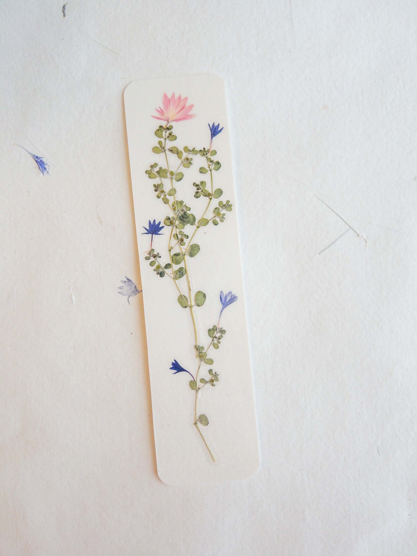 Pressed flower bookmark on handmade cotton paper, cornflower , handmade bookmark, gift, dried flower, fleur séchée , marque page Le Bleuet