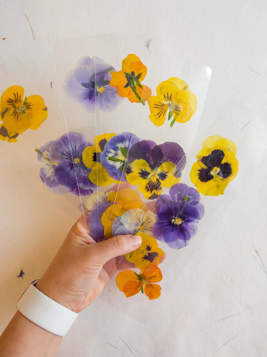 Pansy flower pressed flower bookmark, violet flowers, handmade bookmark, fleur séchée ,marque page laminated bookmark gift for her