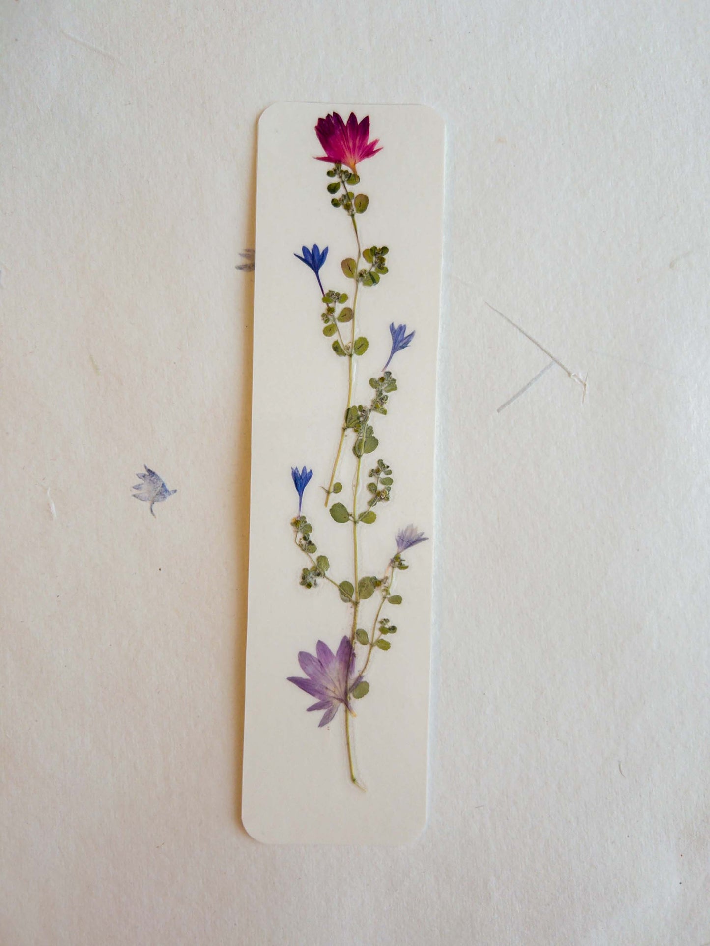 Pressed flower bookmark on handmade cotton paper, cornflower , handmade bookmark, gift, dried flower, fleur séchée , marque page Le Bleuet