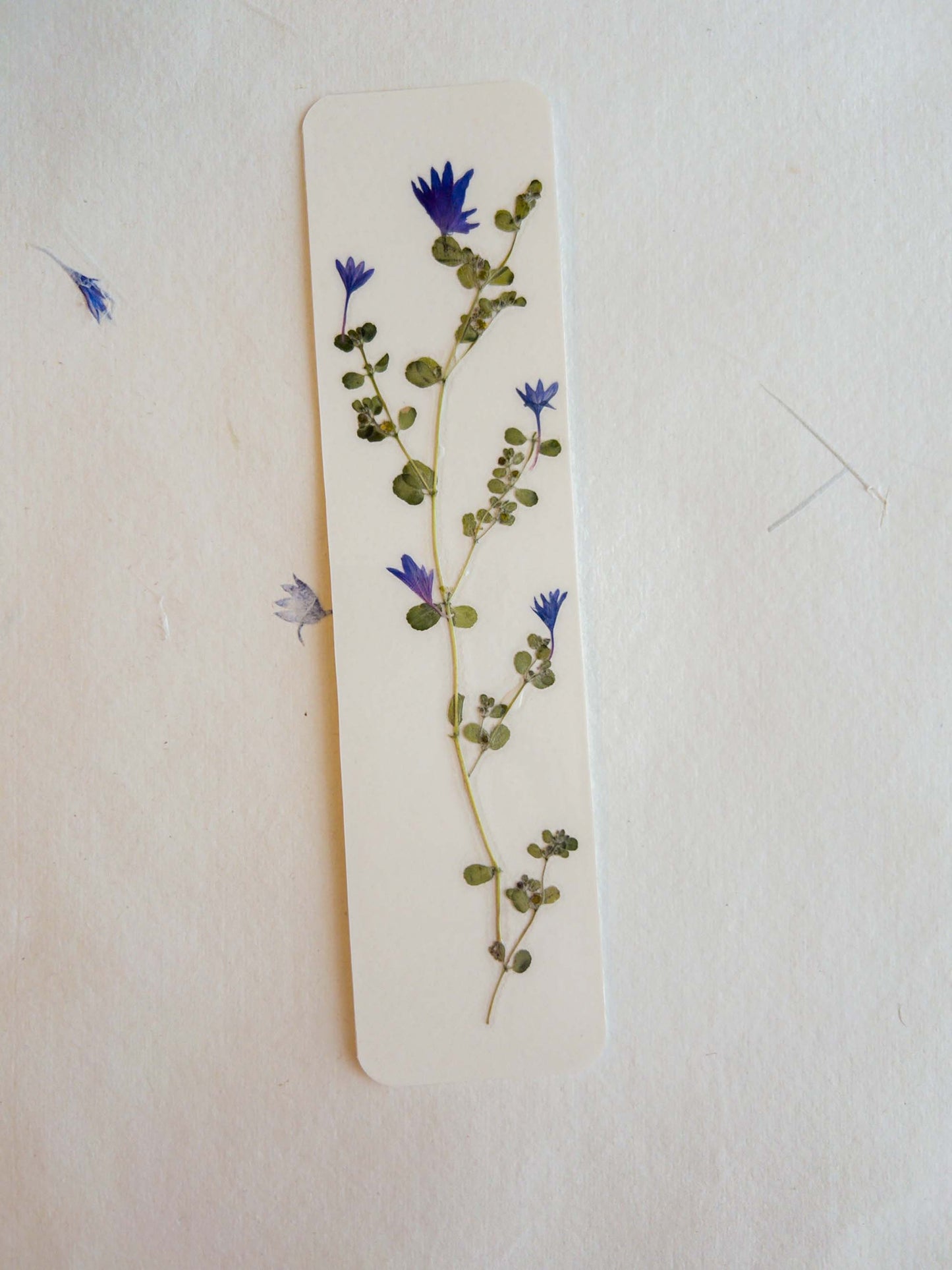 Pressed flower bookmark on handmade cotton paper, cornflower , handmade bookmark, gift, dried flower, fleur séchée , marque page Le Bleuet