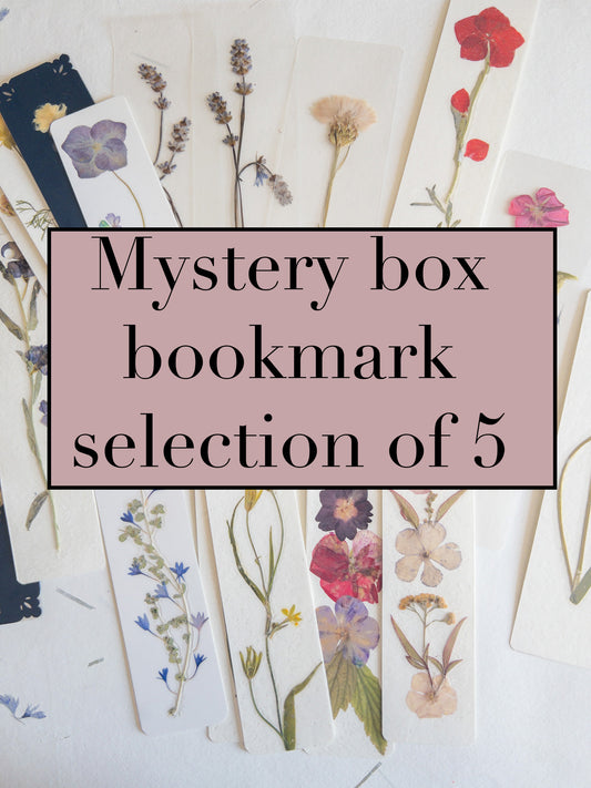 Pressed flower bookmark ""SET of 5 "" Mystery selection , Kraft paper, handmade bookmark, dried flower, fleur séchée , marque page